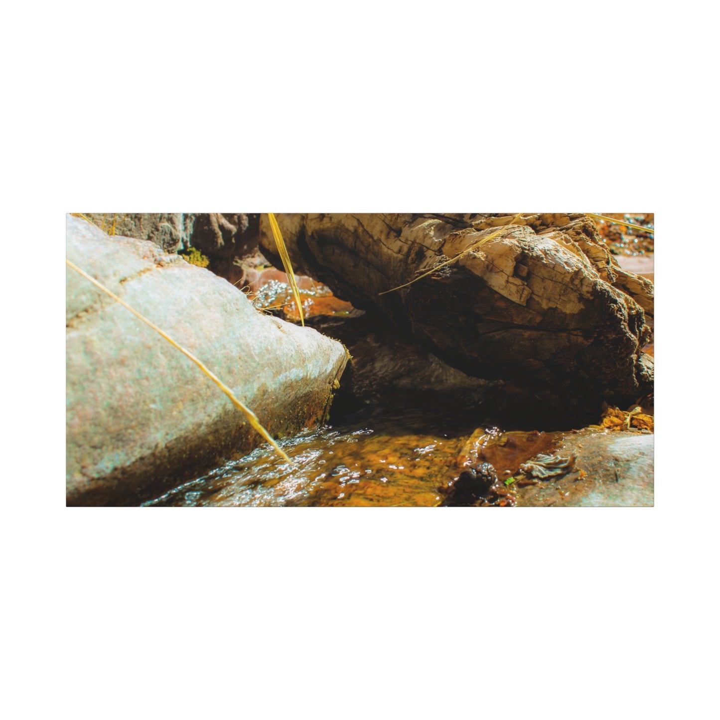 Canvas Print Lazy Log Photography