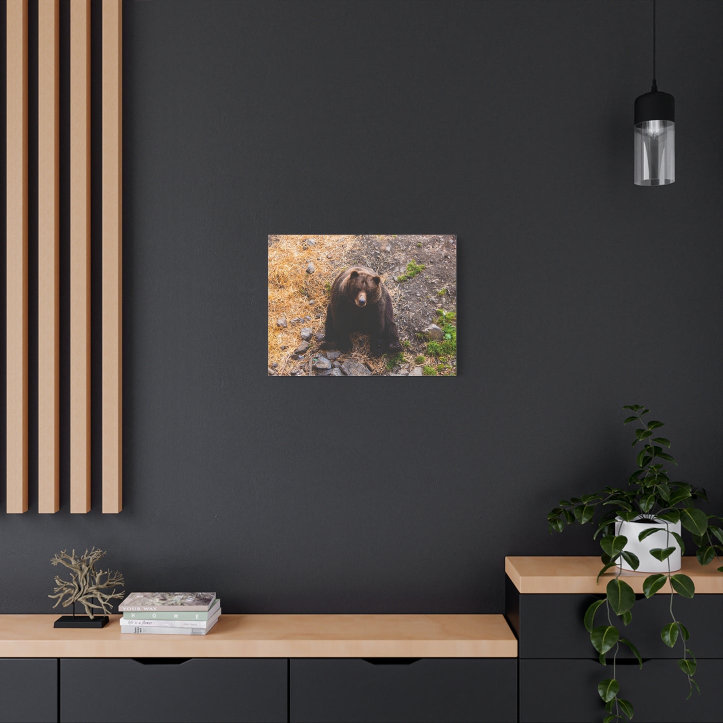 Canvas Print - Staring Bear Photograph