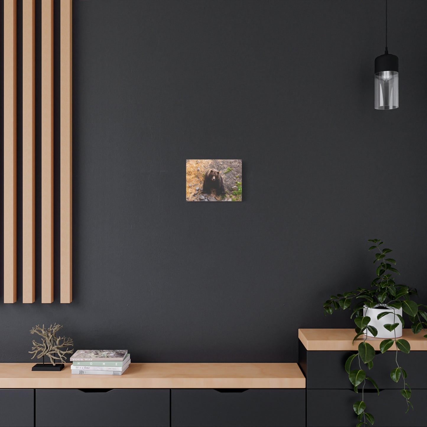 Canvas Print - Staring Bear Photograph