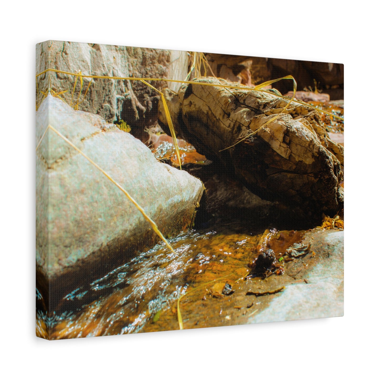 Canvas Print Lazy Log Photography