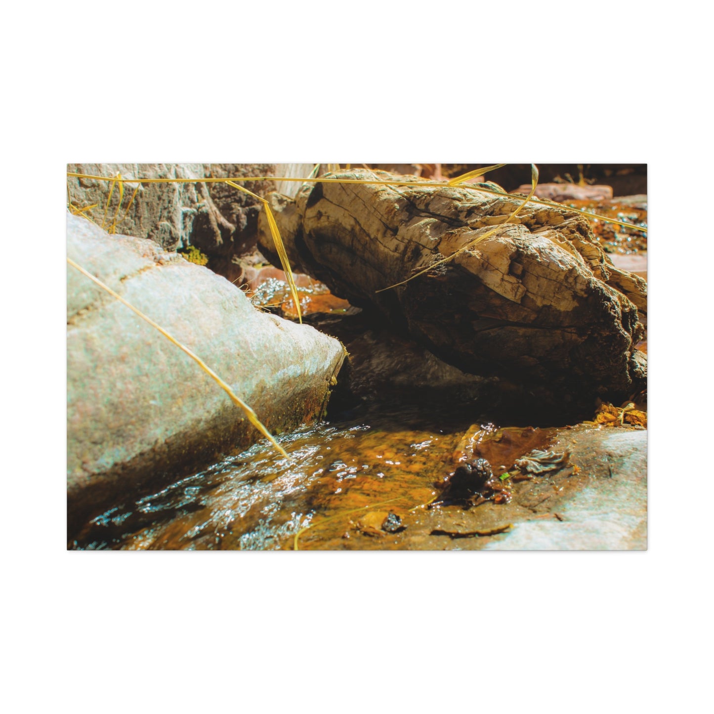 Canvas Print Lazy Log Photography