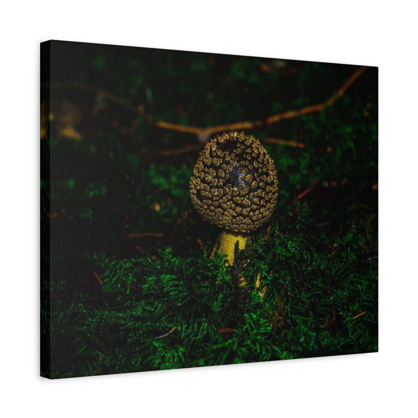 Canvas Print - Micro Mushroom Design