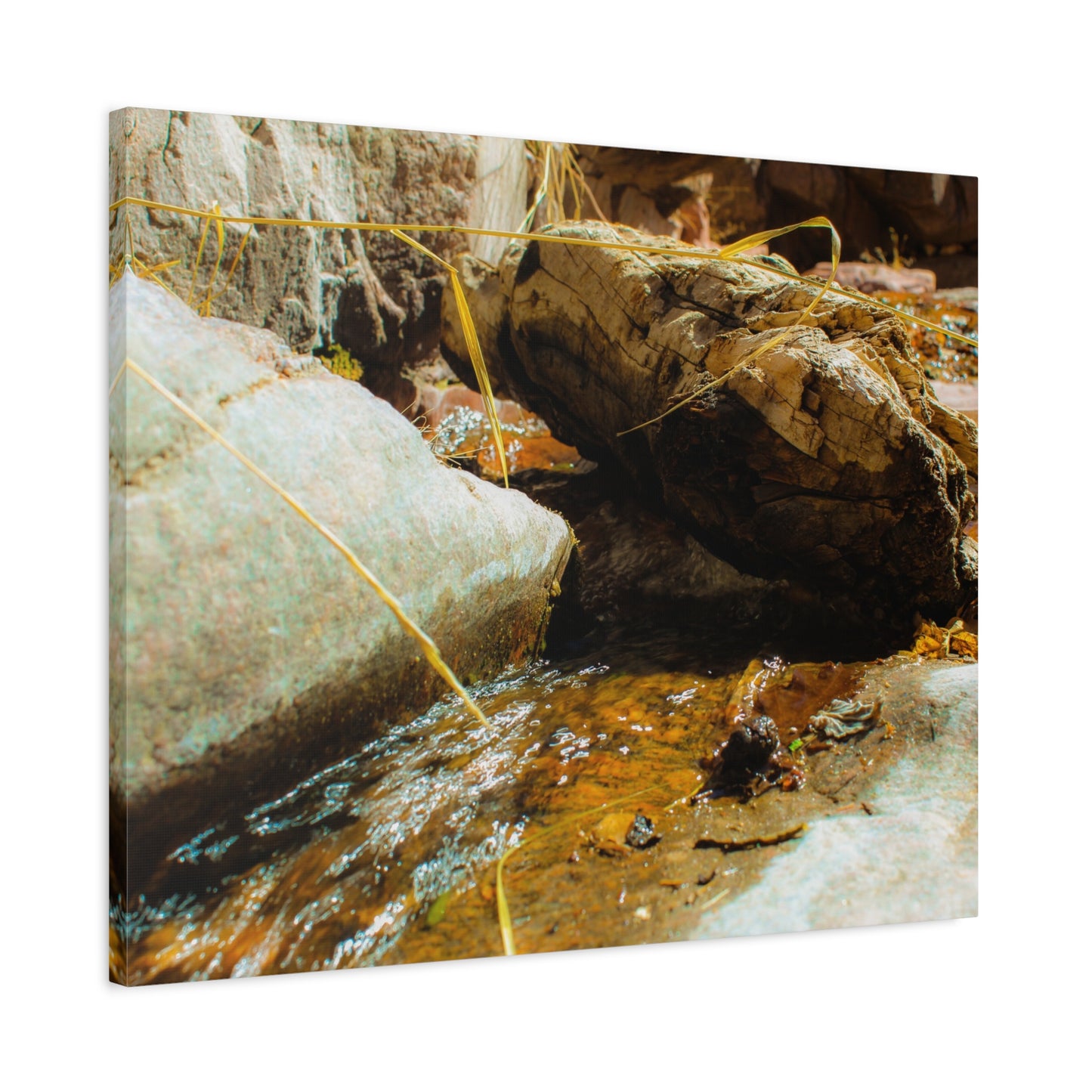 Canvas Print Lazy Log Photography