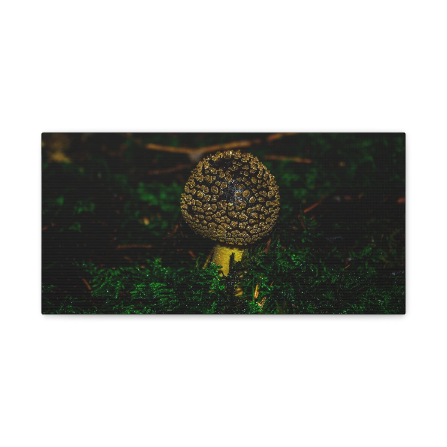 Canvas Print - Micro Mushroom Design