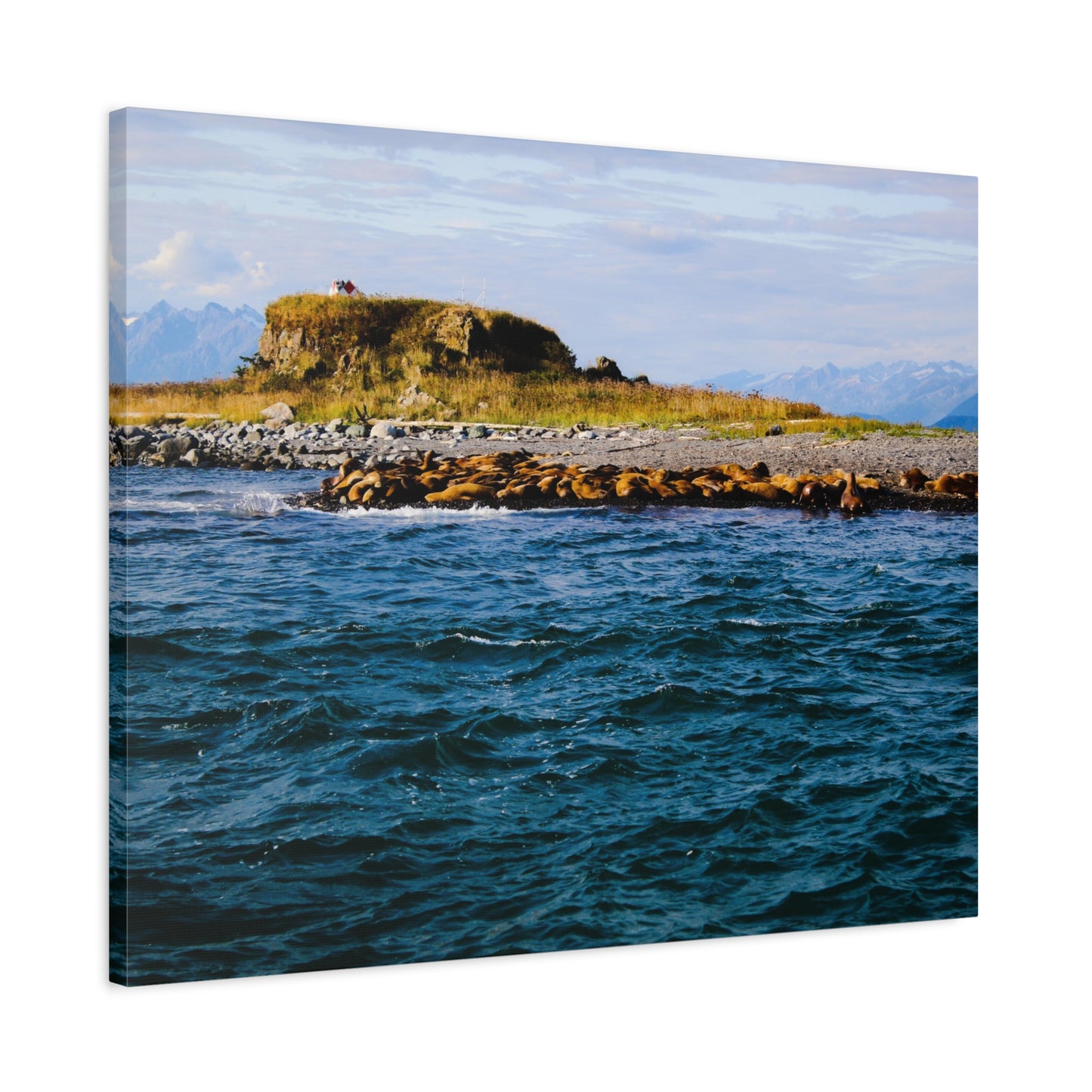 Canvas Print - Photo of Seal Island