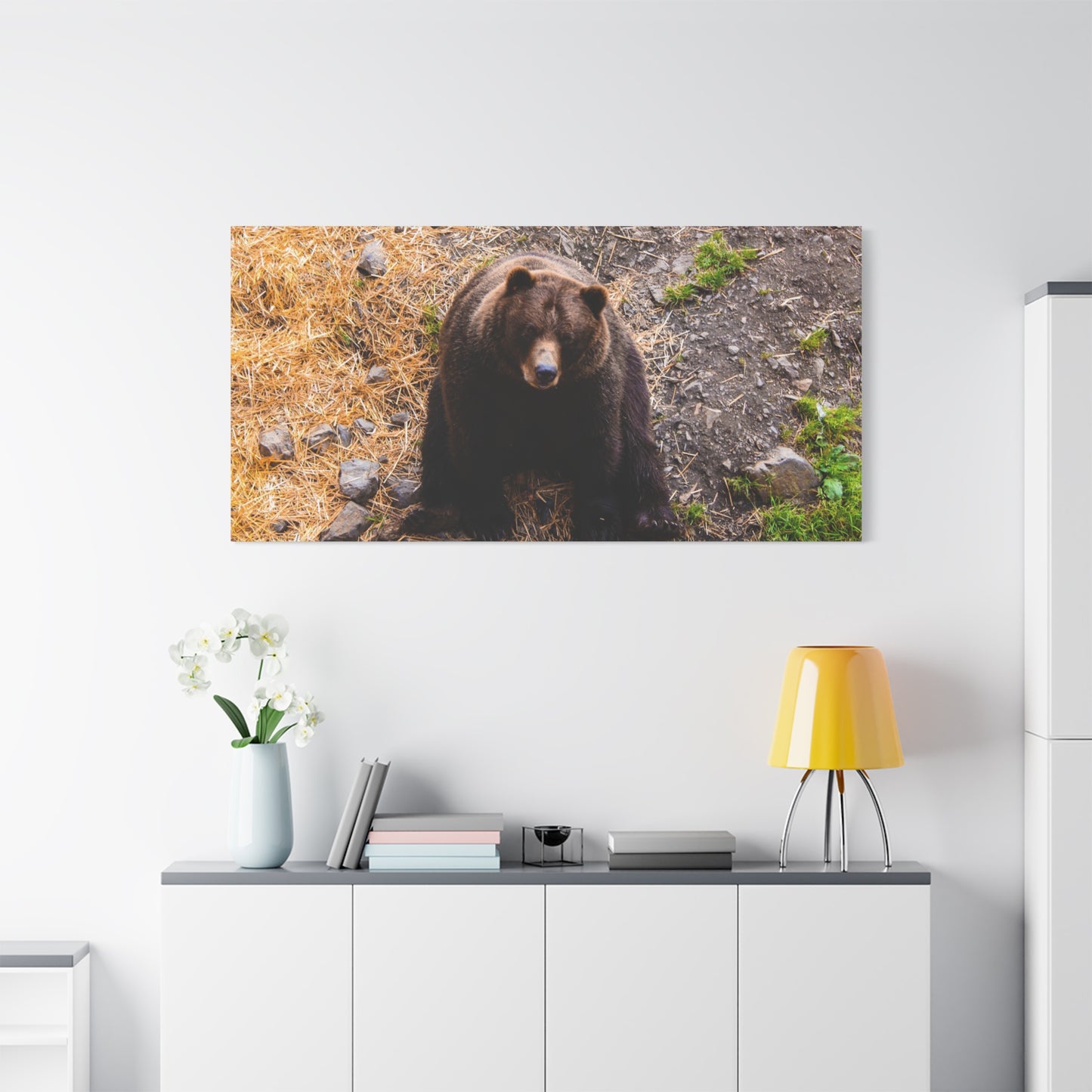 Canvas Print - Staring Bear Photograph