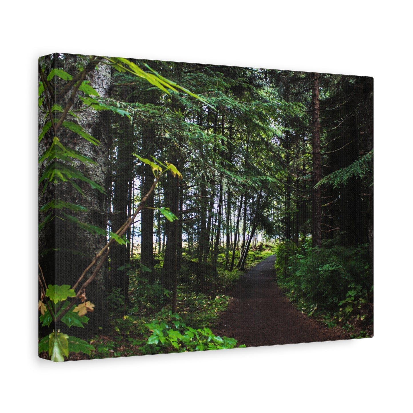 Copy of Canvas Art Print - Trail Through The Trees-Photograph