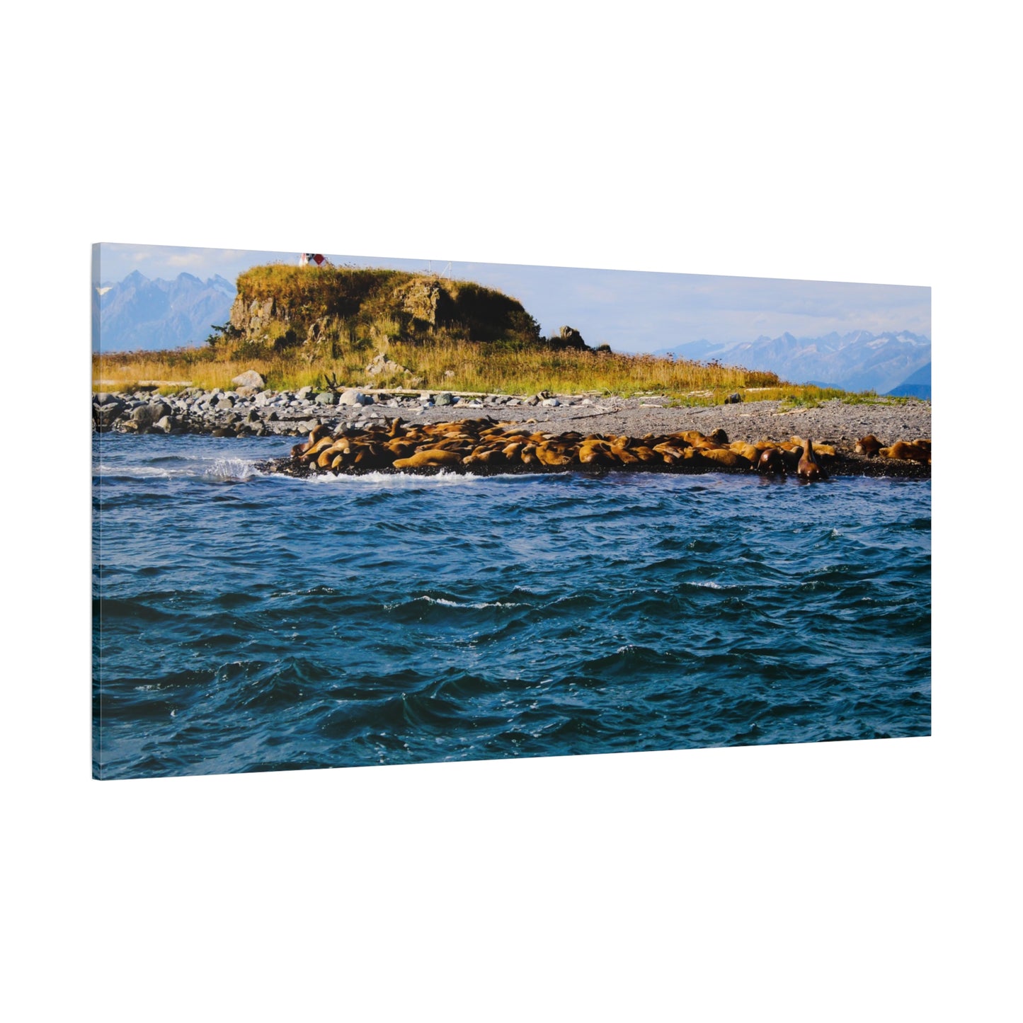 Canvas Print - Photo of Seal Island