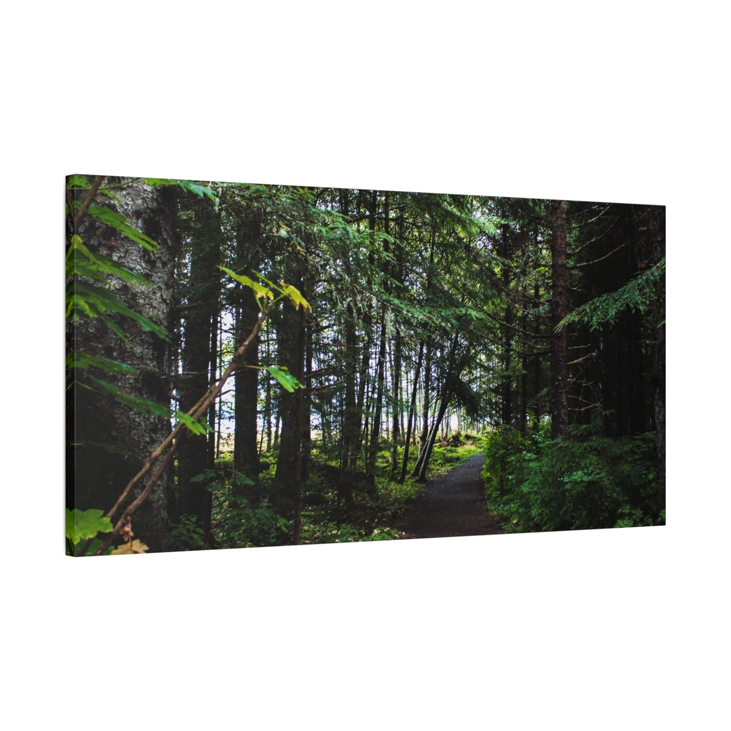 Copy of Canvas Art Print - Trail Through The Trees-Photograph