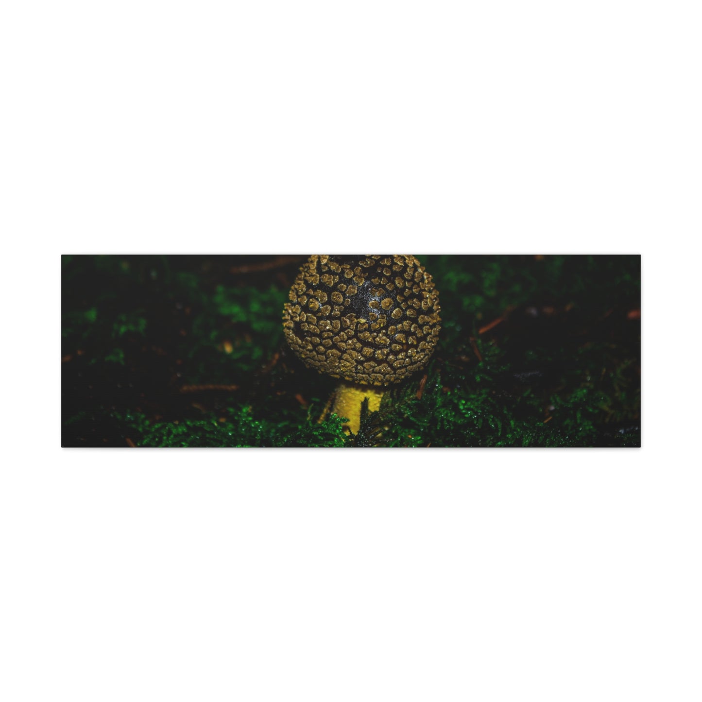 Canvas Print - Micro Mushroom Design