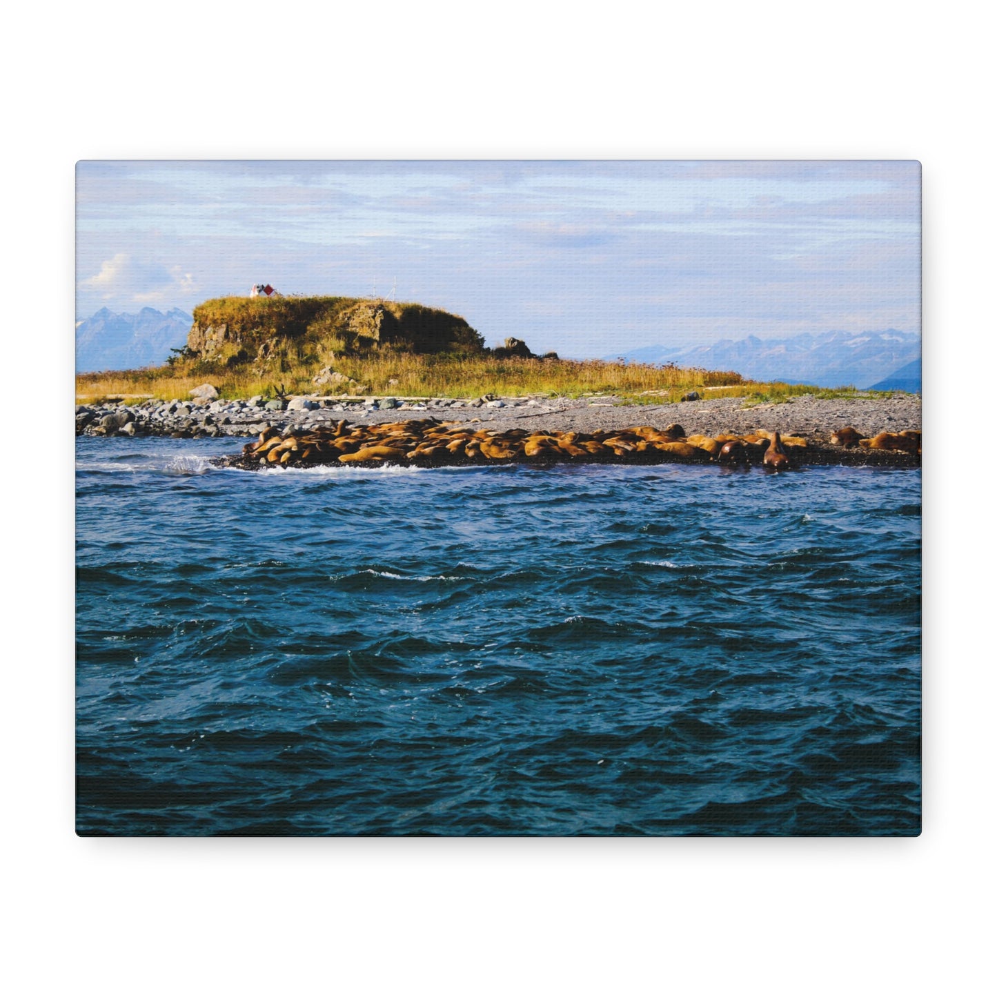 Canvas Print - Photo of Seal Island