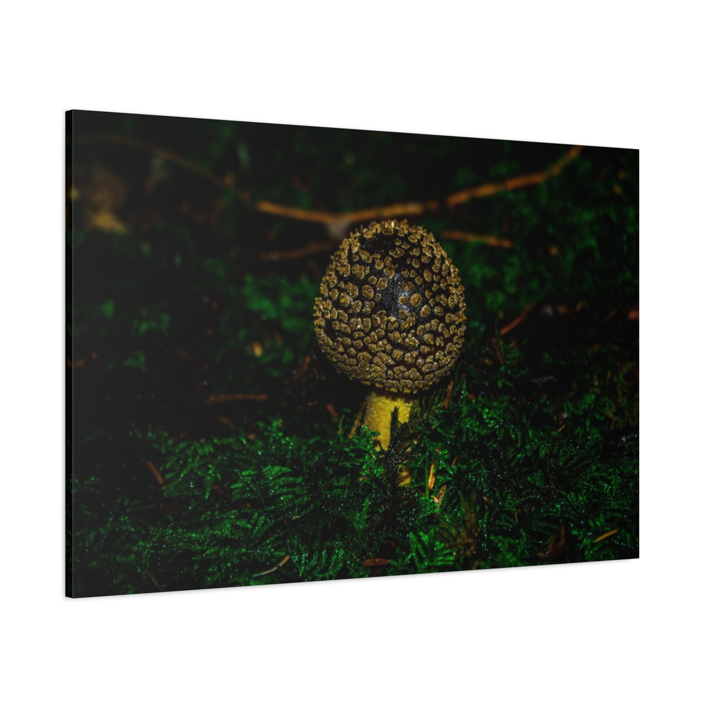 Canvas Print - Micro Mushroom Design