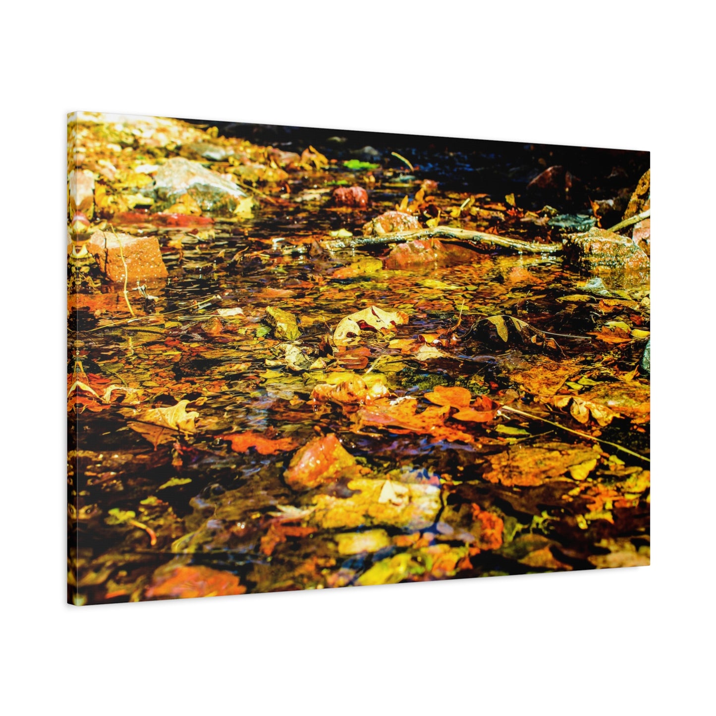 Canvas Print - Fall Leaves in Quiet Stream Photography
