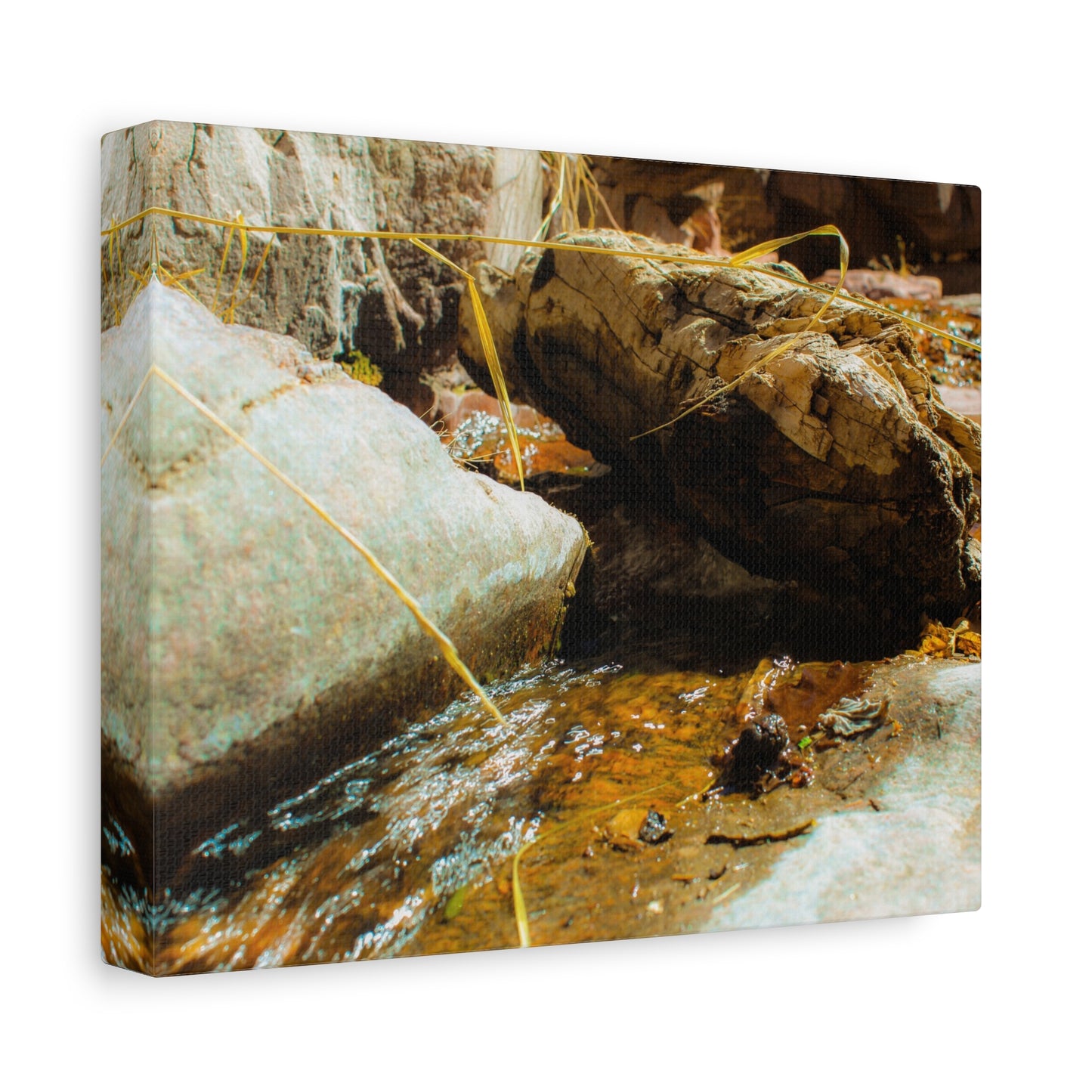 Canvas Print Lazy Log Photography