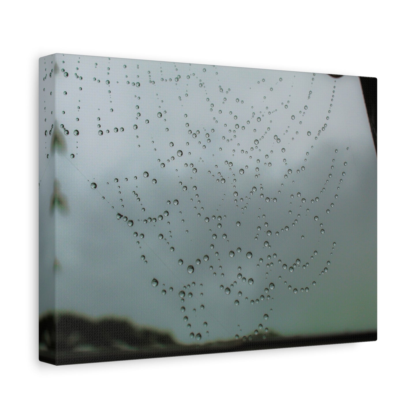 Canvas Print - Morning Dew on Spider Web Photo