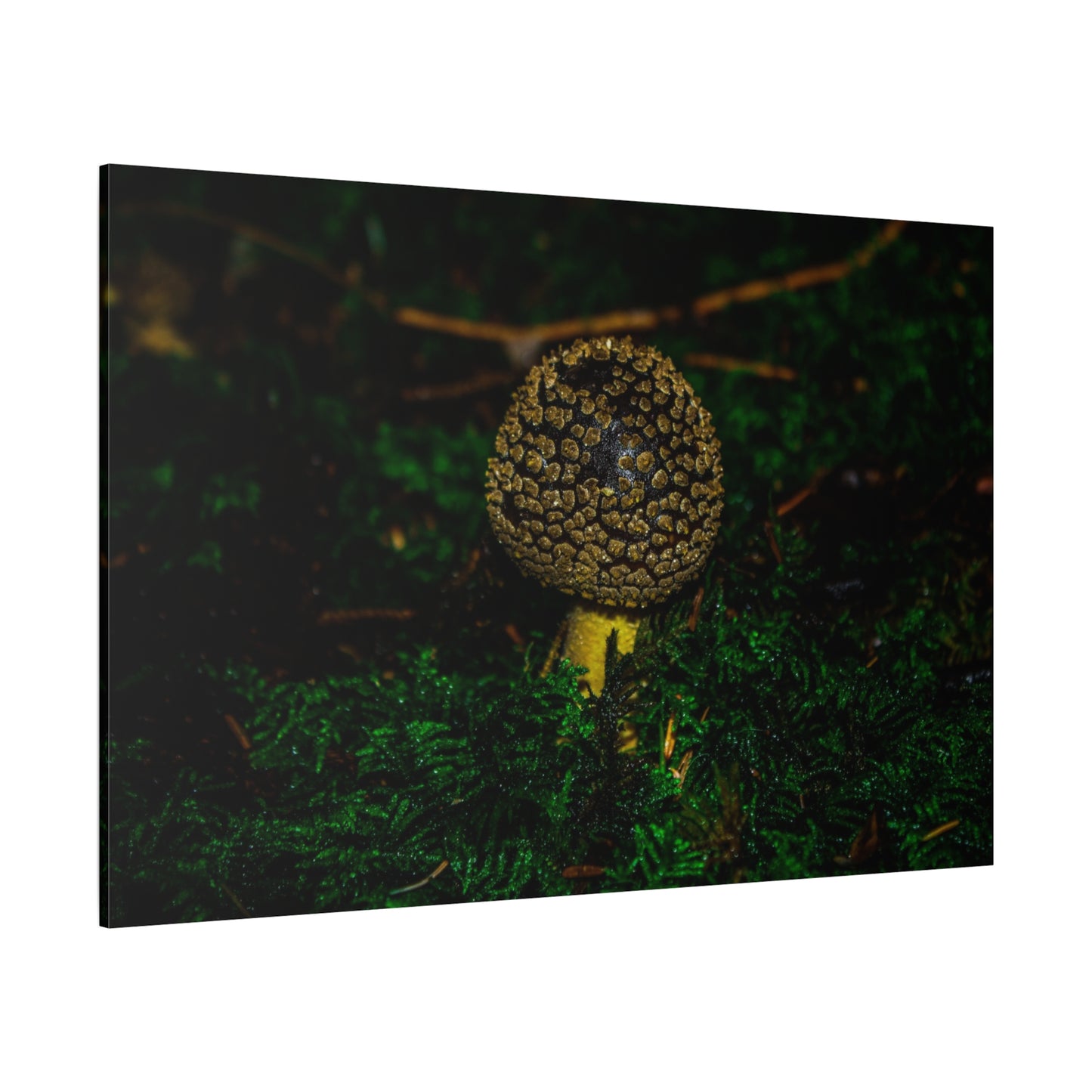 Canvas Print - Micro Mushroom Design