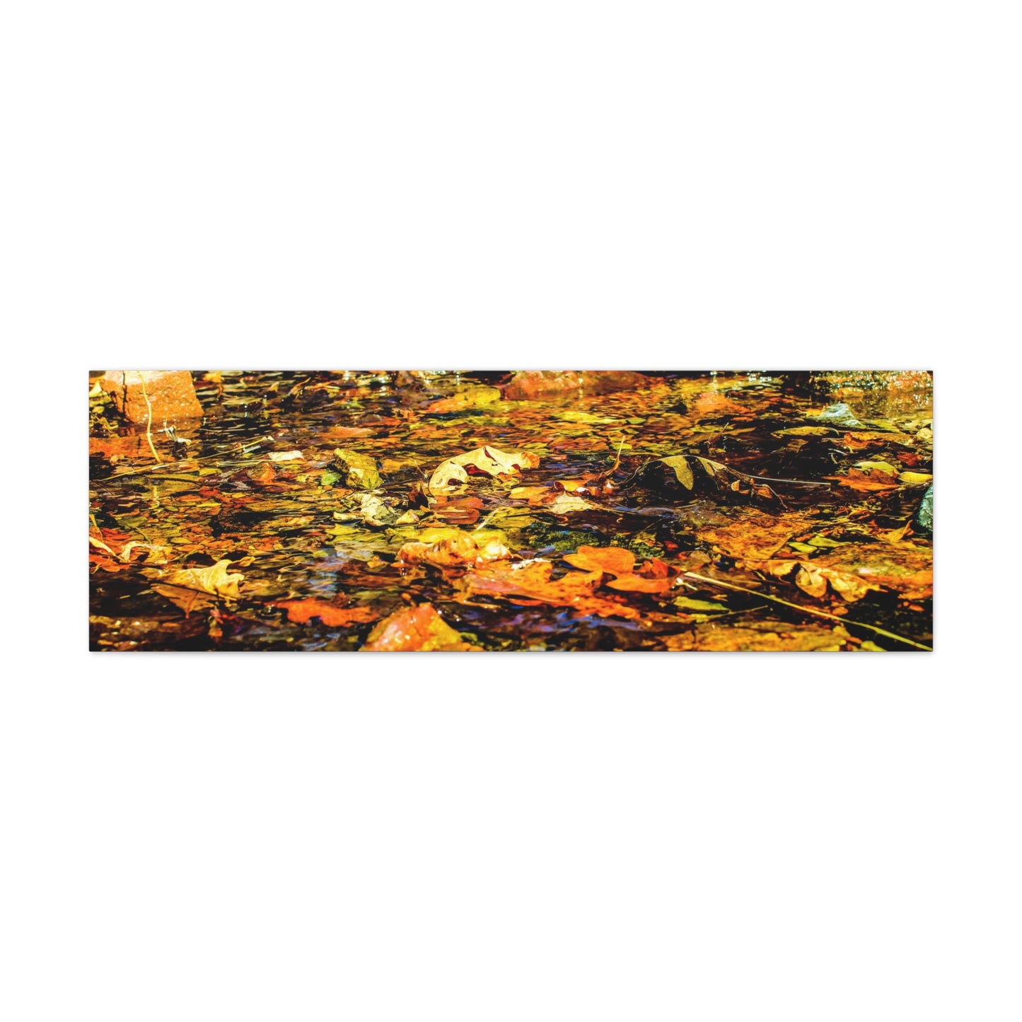 Canvas Print - Fall Leaves in Quiet Stream Photography