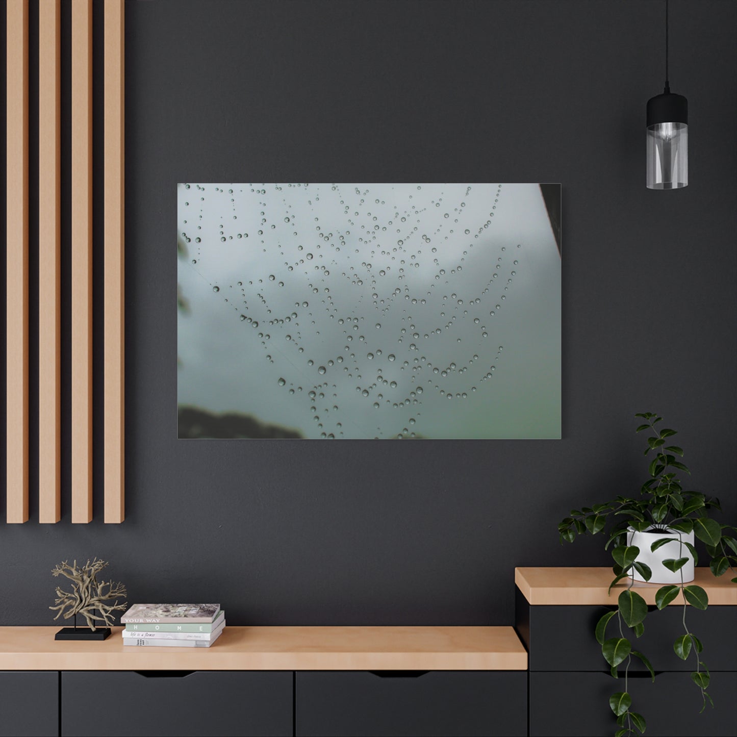 Canvas Print - Morning Dew on Spider Web Photo