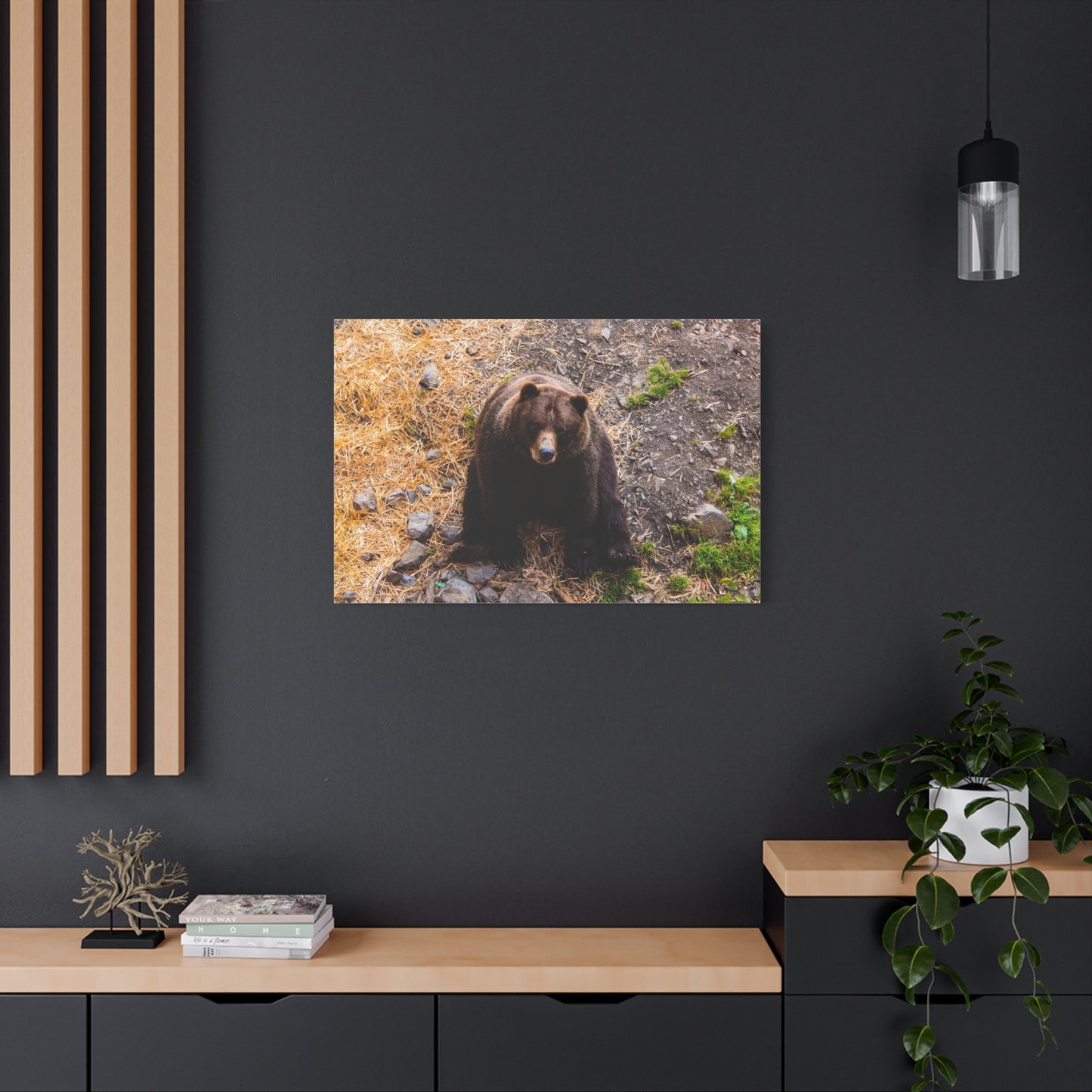 Canvas Print - Staring Bear Photograph