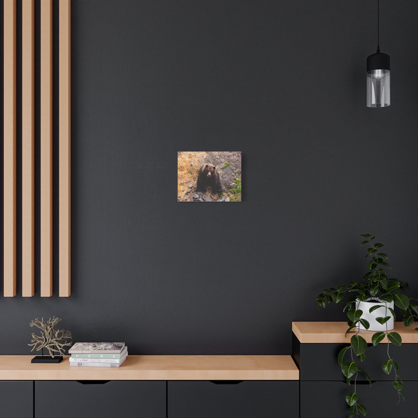Canvas Print - Staring Bear Photograph