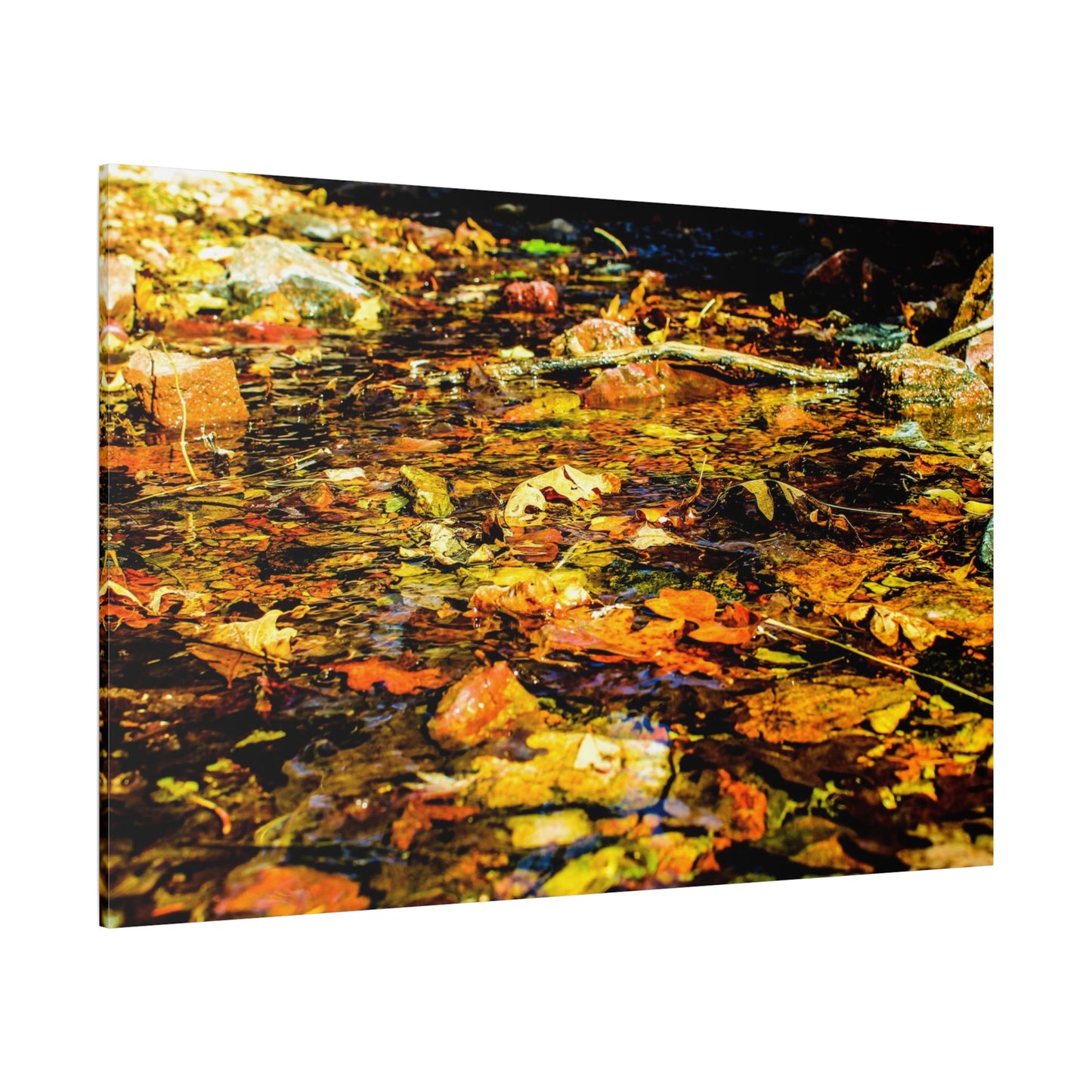 Canvas Print - Fall Leaves in Quiet Stream Photography
