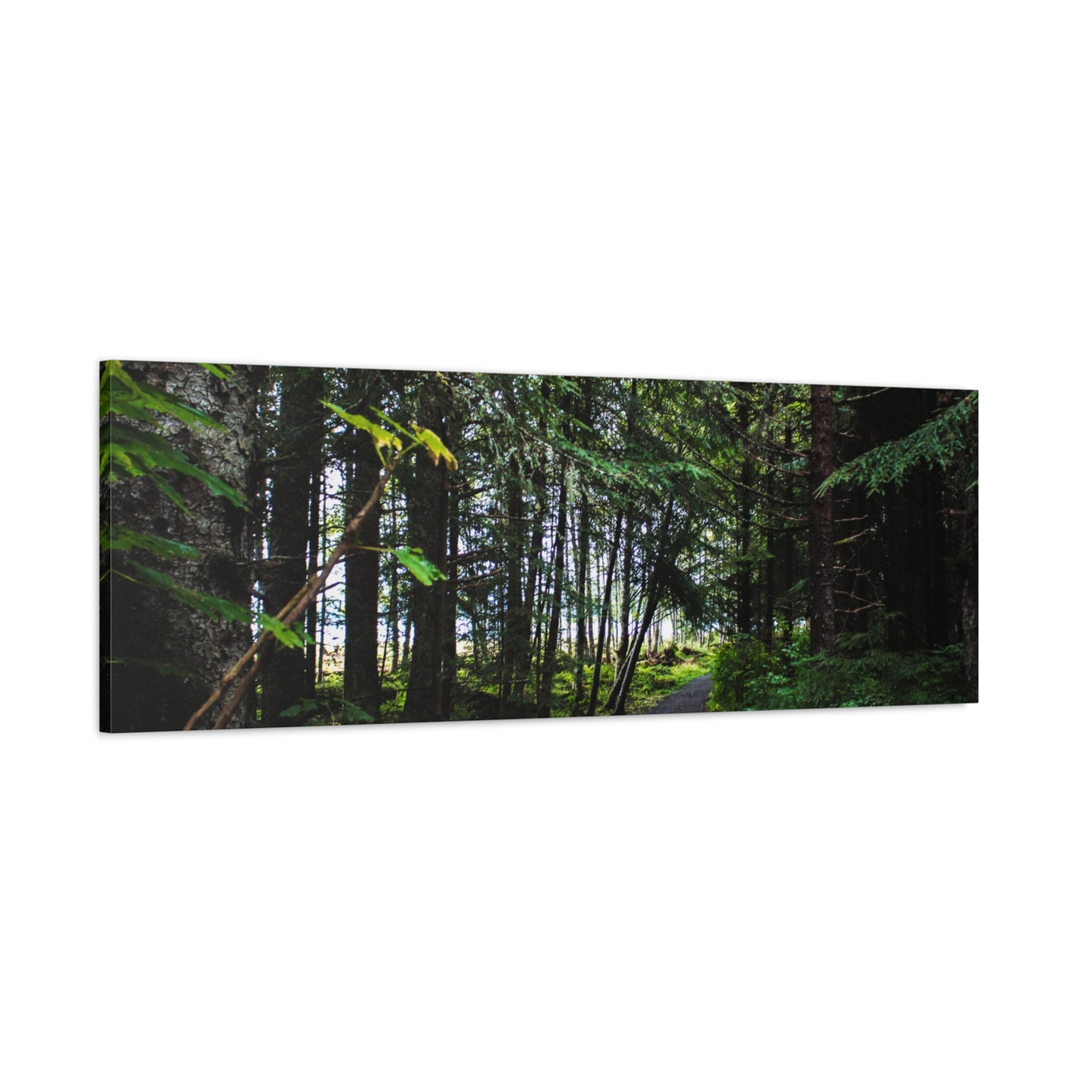 Copy of Canvas Art Print - Trail Through The Trees-Photograph