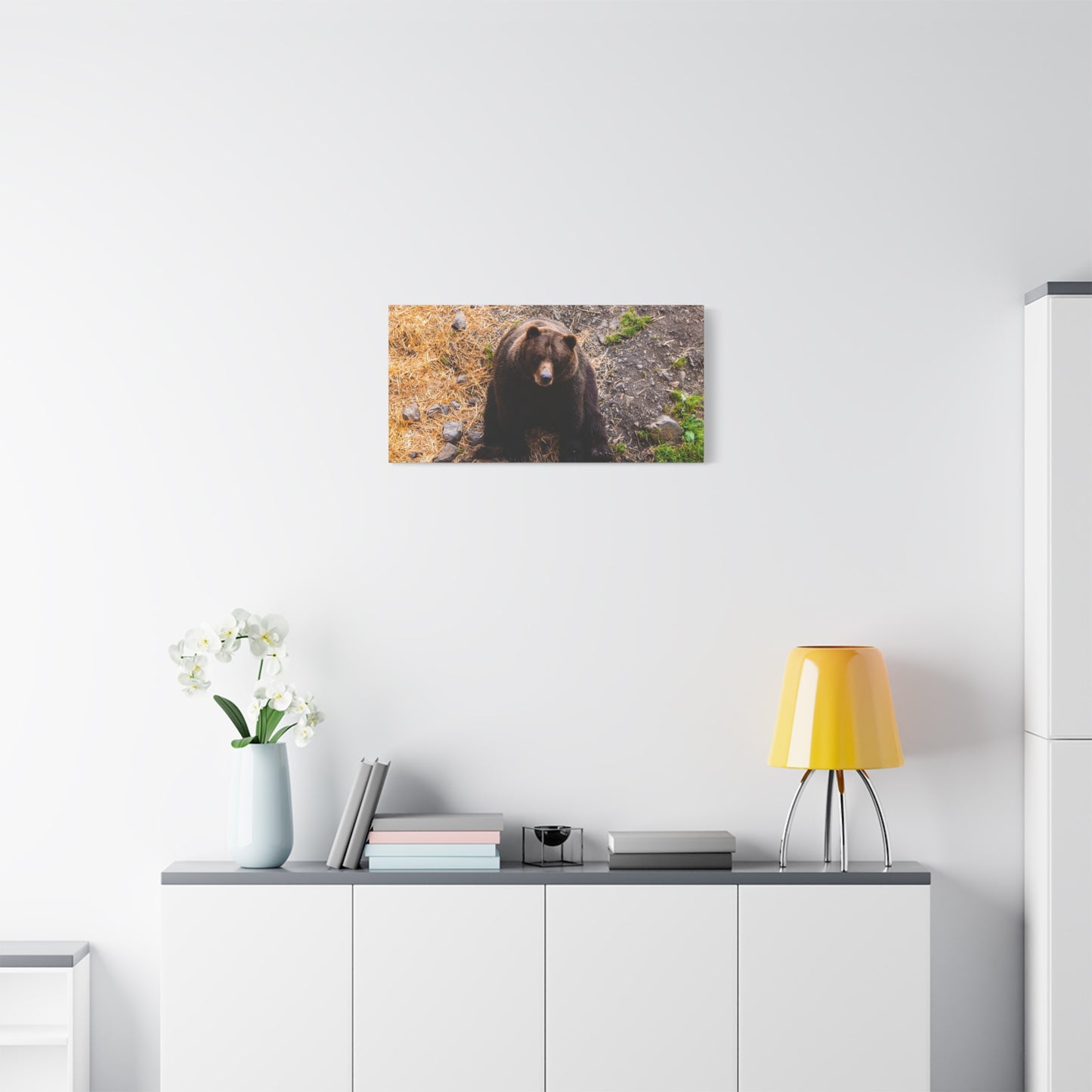 Canvas Print - Staring Bear Photograph