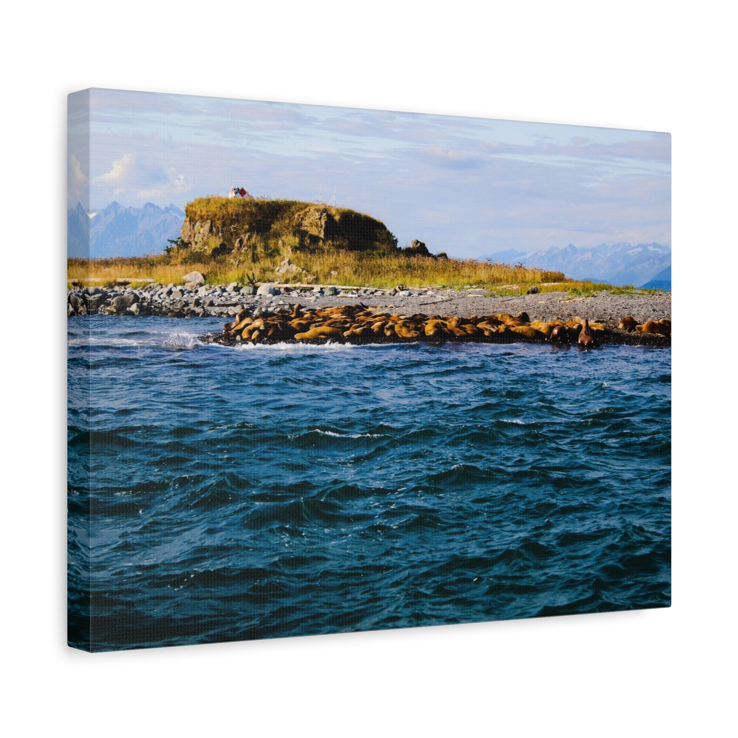 Canvas Print - Photo of Seal Island