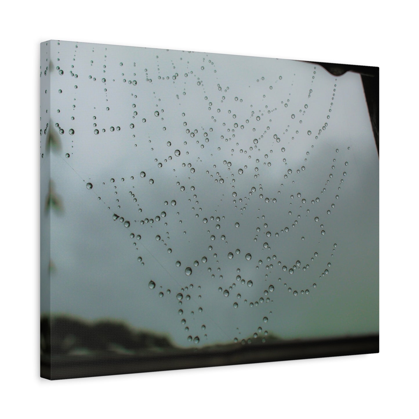 Canvas Print - Morning Dew on Spider Web Photo