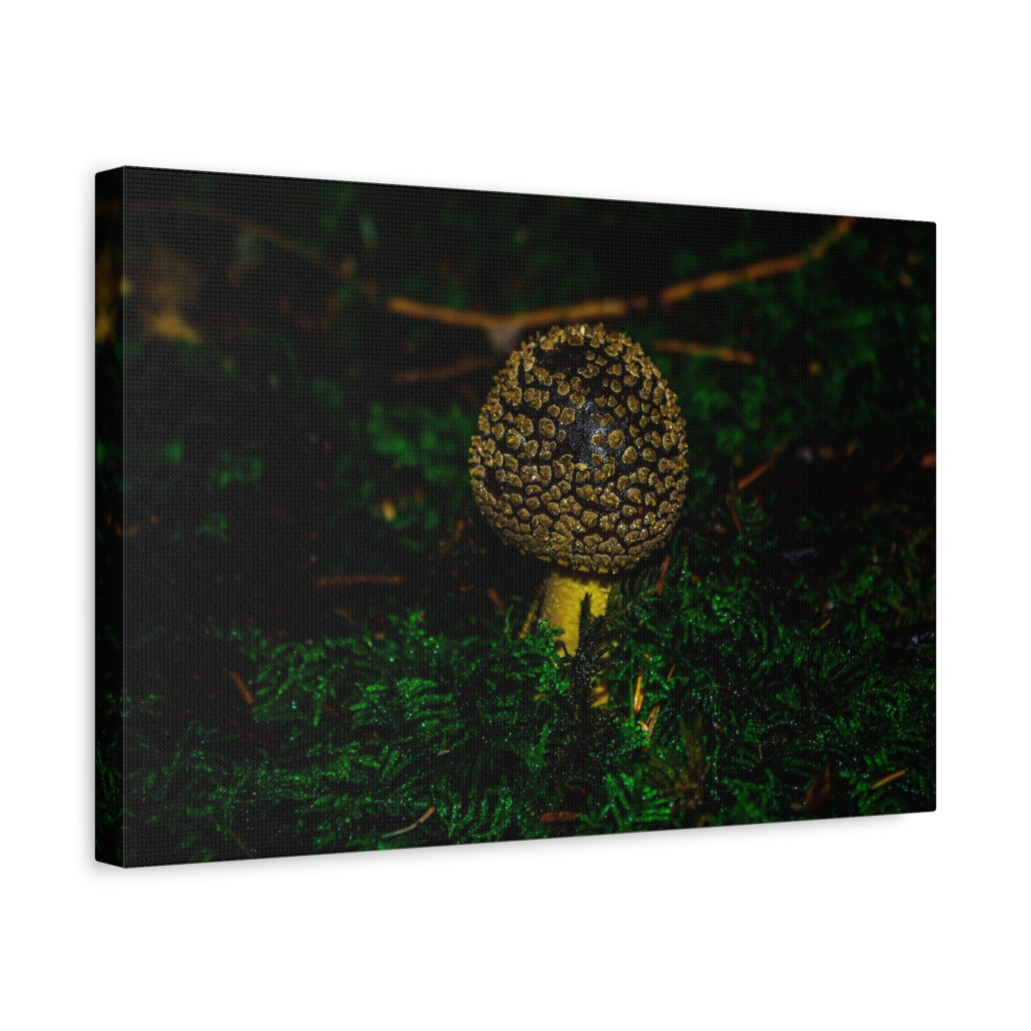 Canvas Print - Micro Mushroom Design