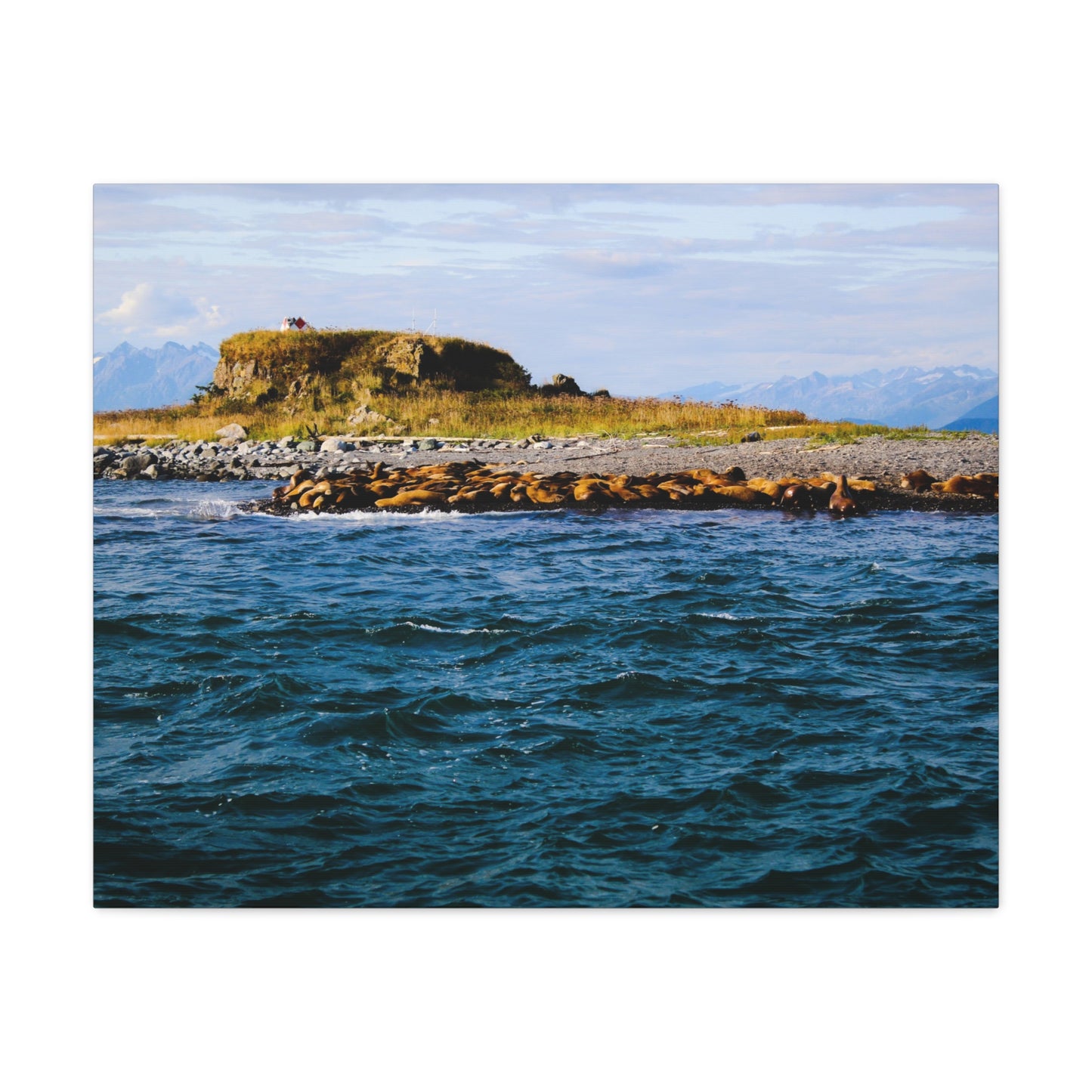 Canvas Print - Photo of Seal Island