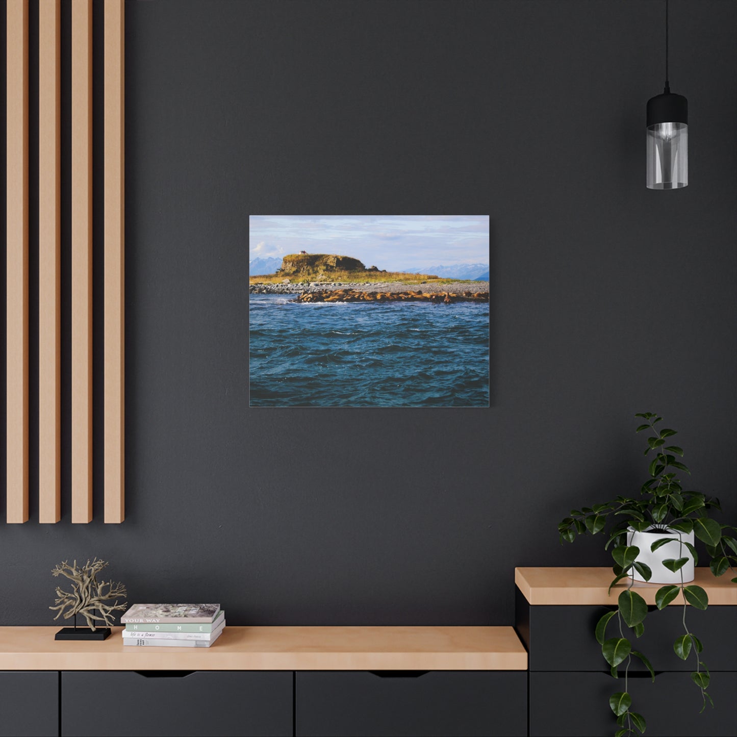 Canvas Print - Photo of Seal Island