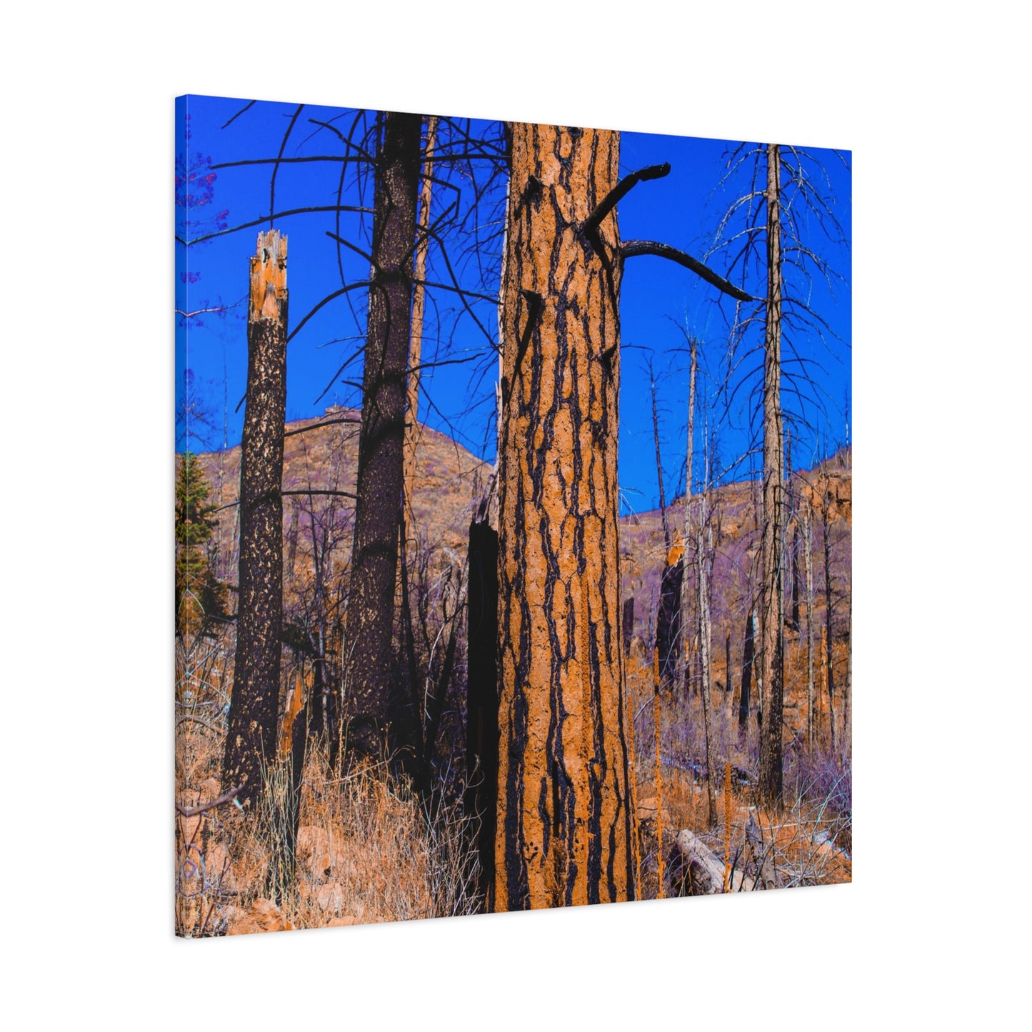 Canvas Print - Thunder Struck Tree Photo