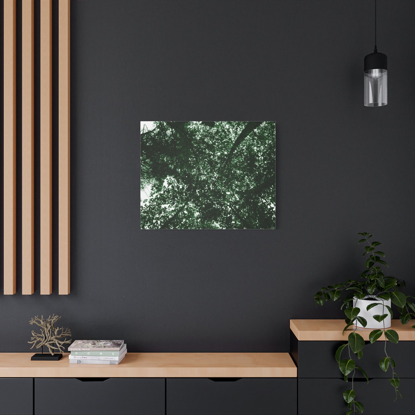 Canvas Print - Towering Tree Tops Photography