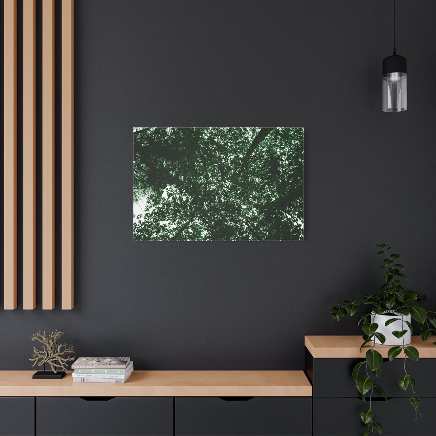 Canvas Print - Towering Tree Tops Photography