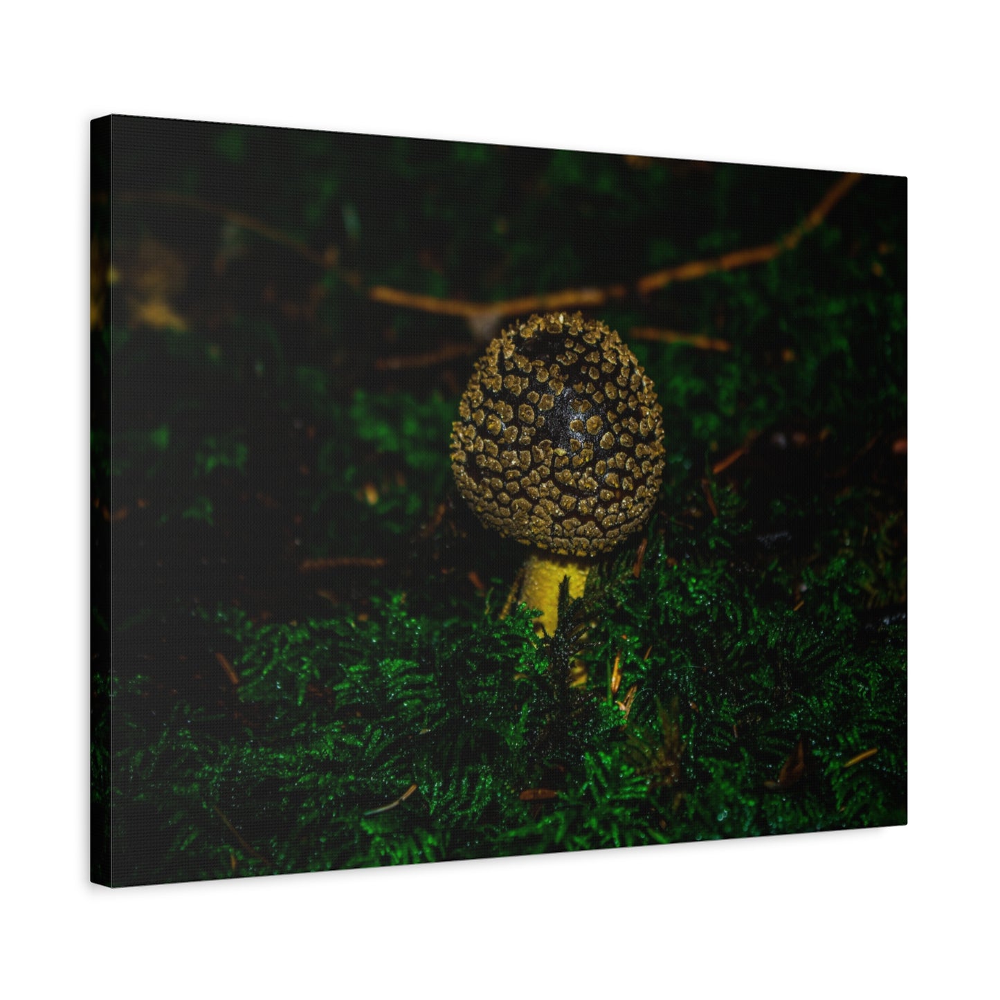 Canvas Print - Micro Mushroom Design