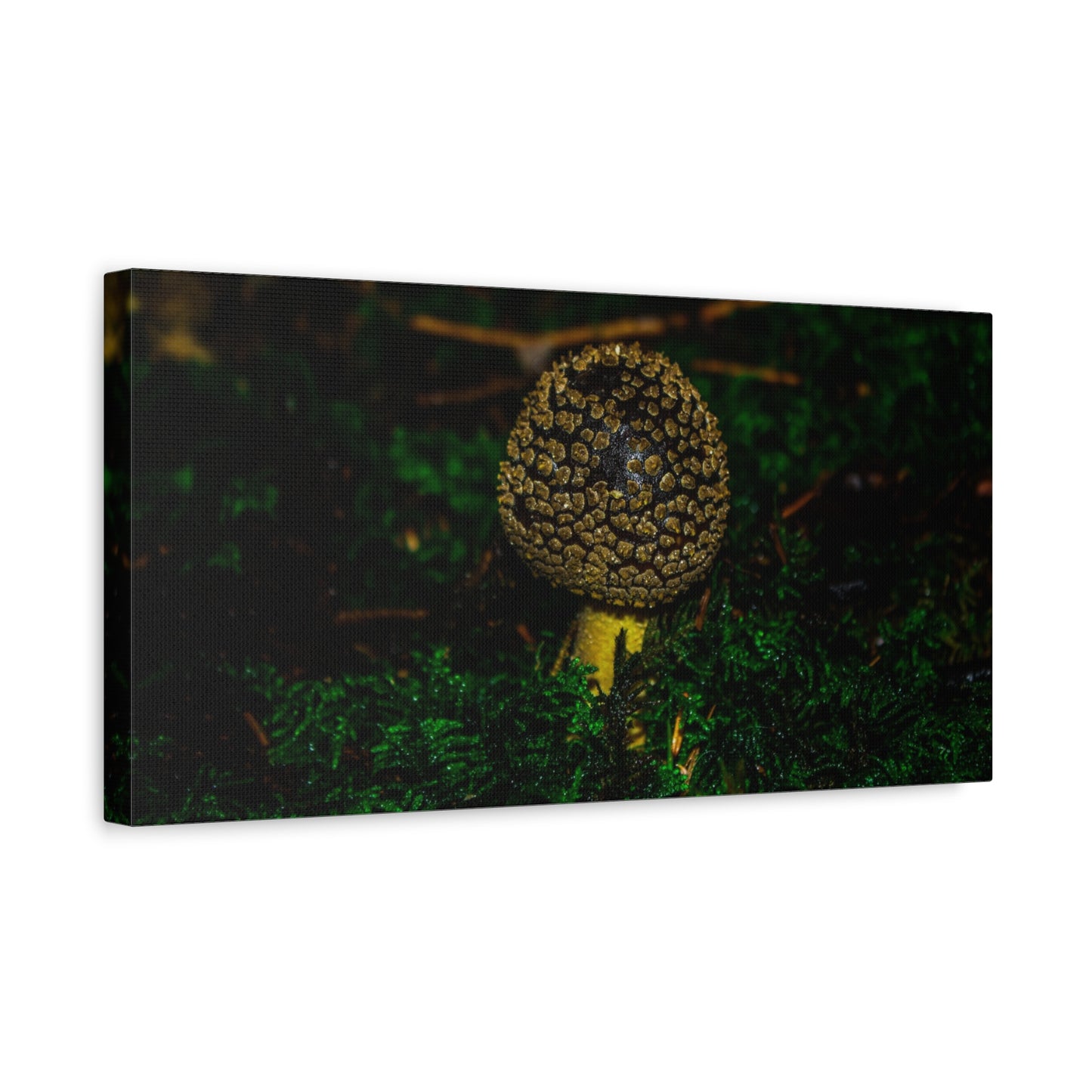 Canvas Print - Micro Mushroom Design