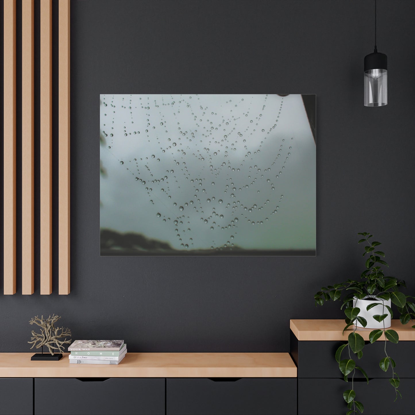 Canvas Print - Morning Dew on Spider Web Photo