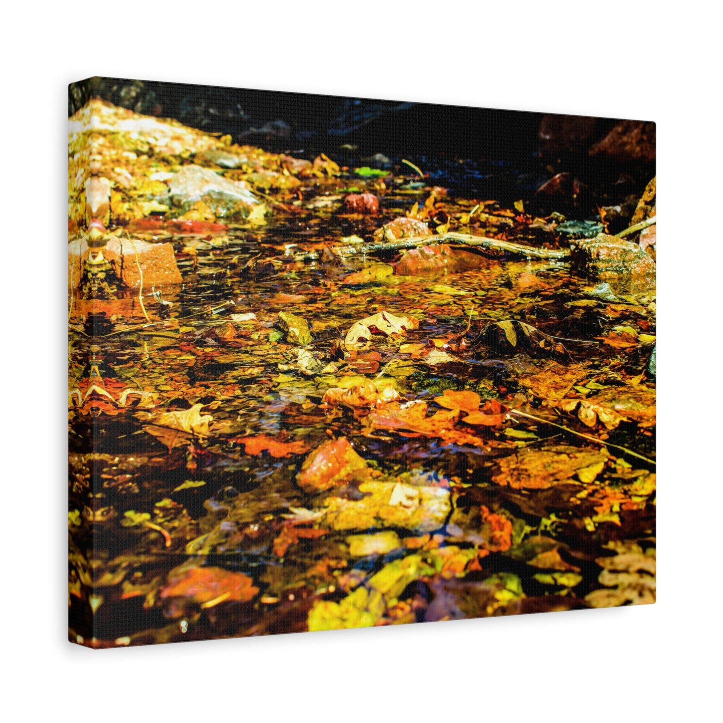 Canvas Print - Fall Leaves in Quiet Stream Photography