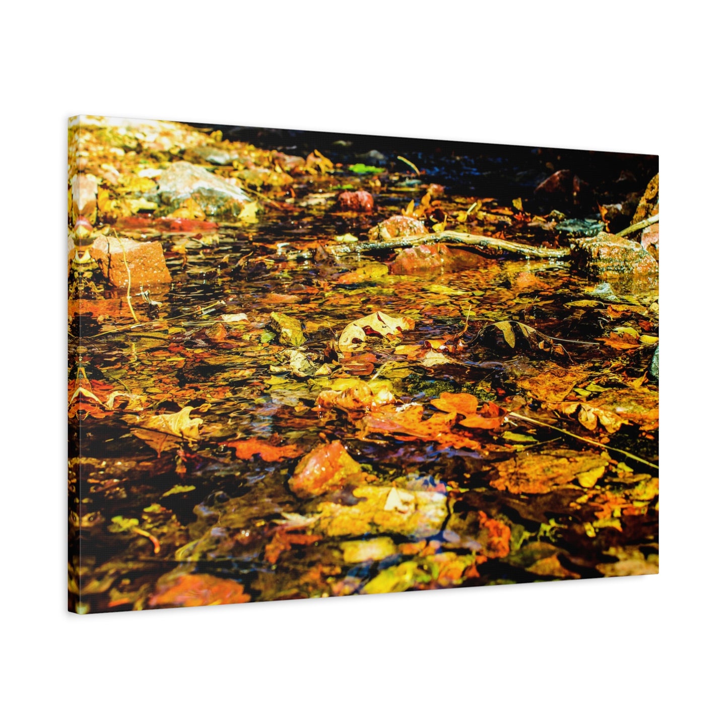 Canvas Print - Fall Leaves in Quiet Stream Photography