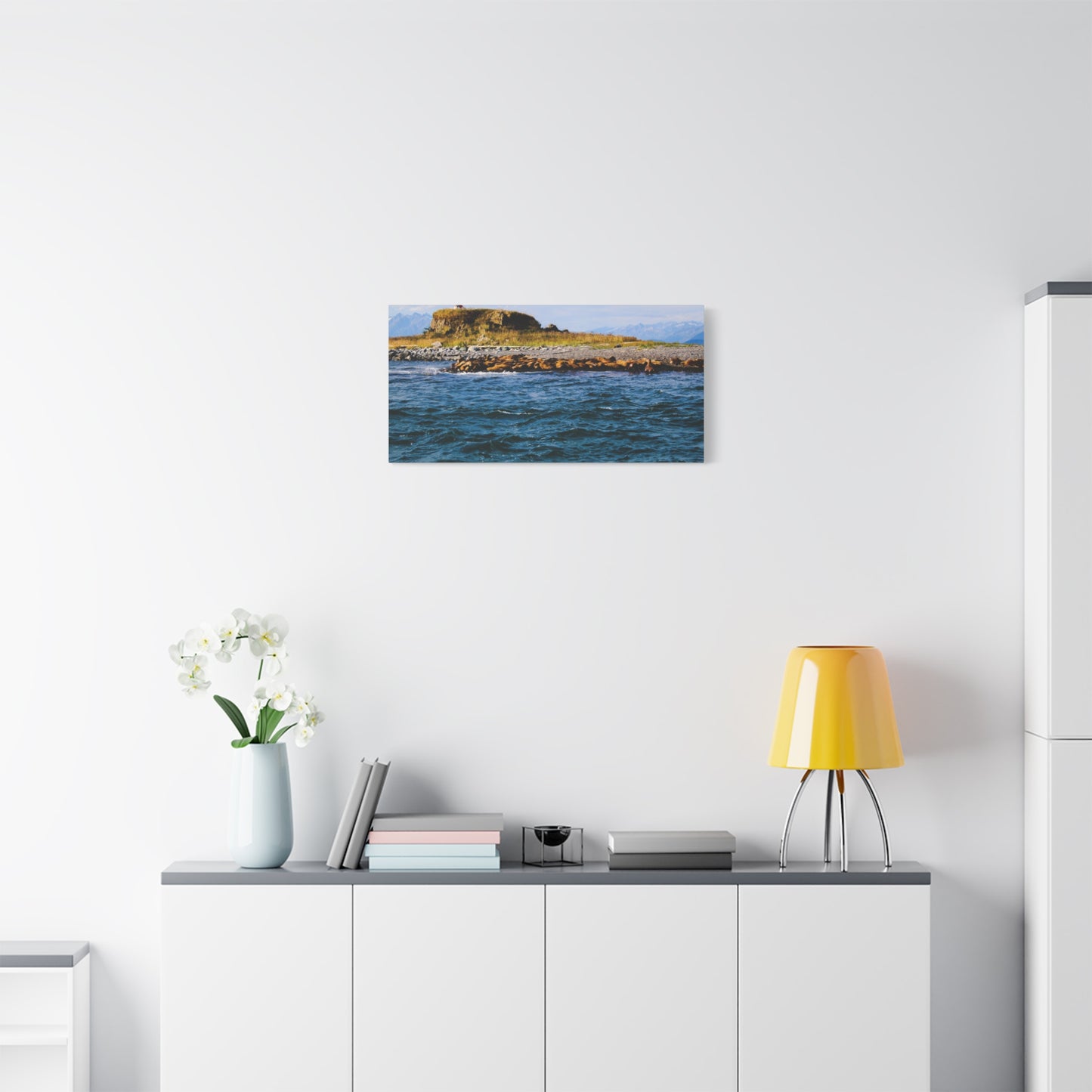 Canvas Print - Photo of Seal Island