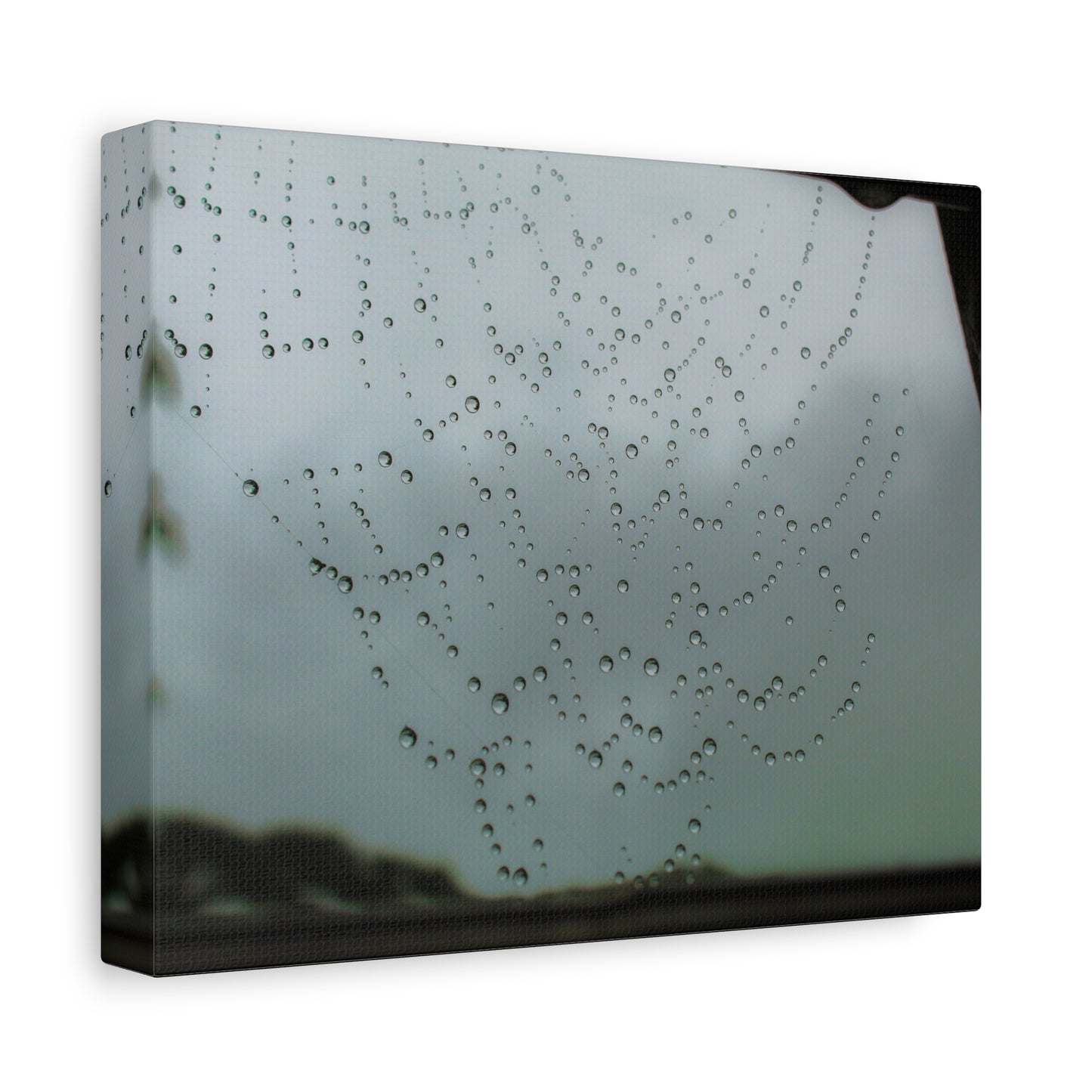 Canvas Print - Morning Dew on Spider Web Photo