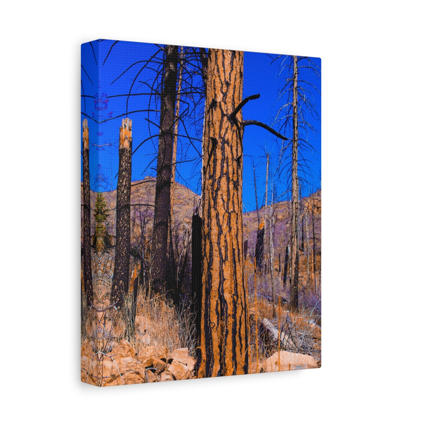 Canvas Print - Thunder Struck Tree Photo