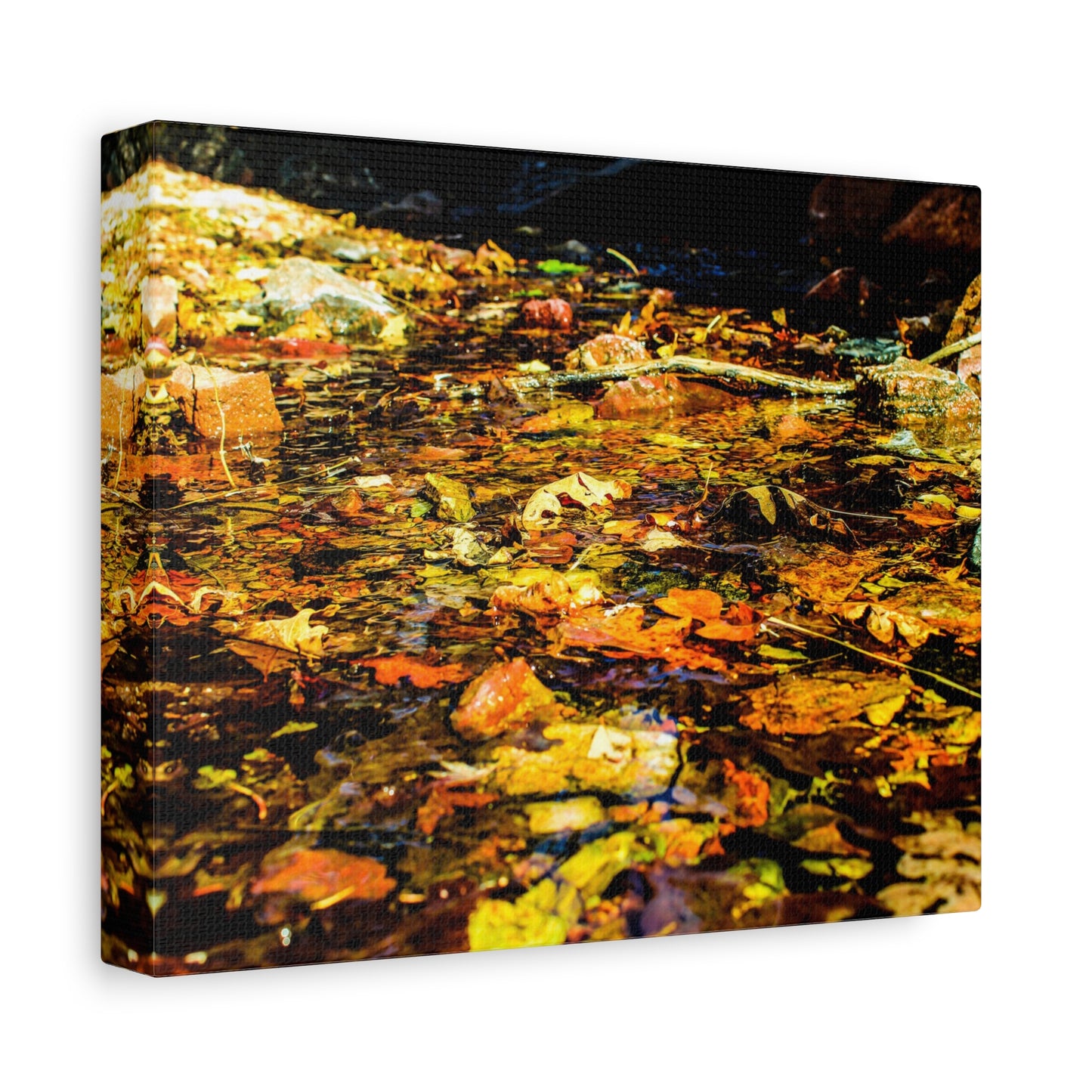 Canvas Print - Fall Leaves in Quiet Stream Photography