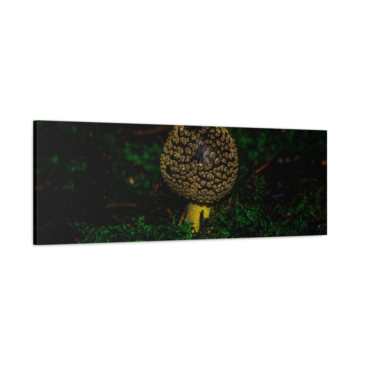 Canvas Print - Micro Mushroom Design