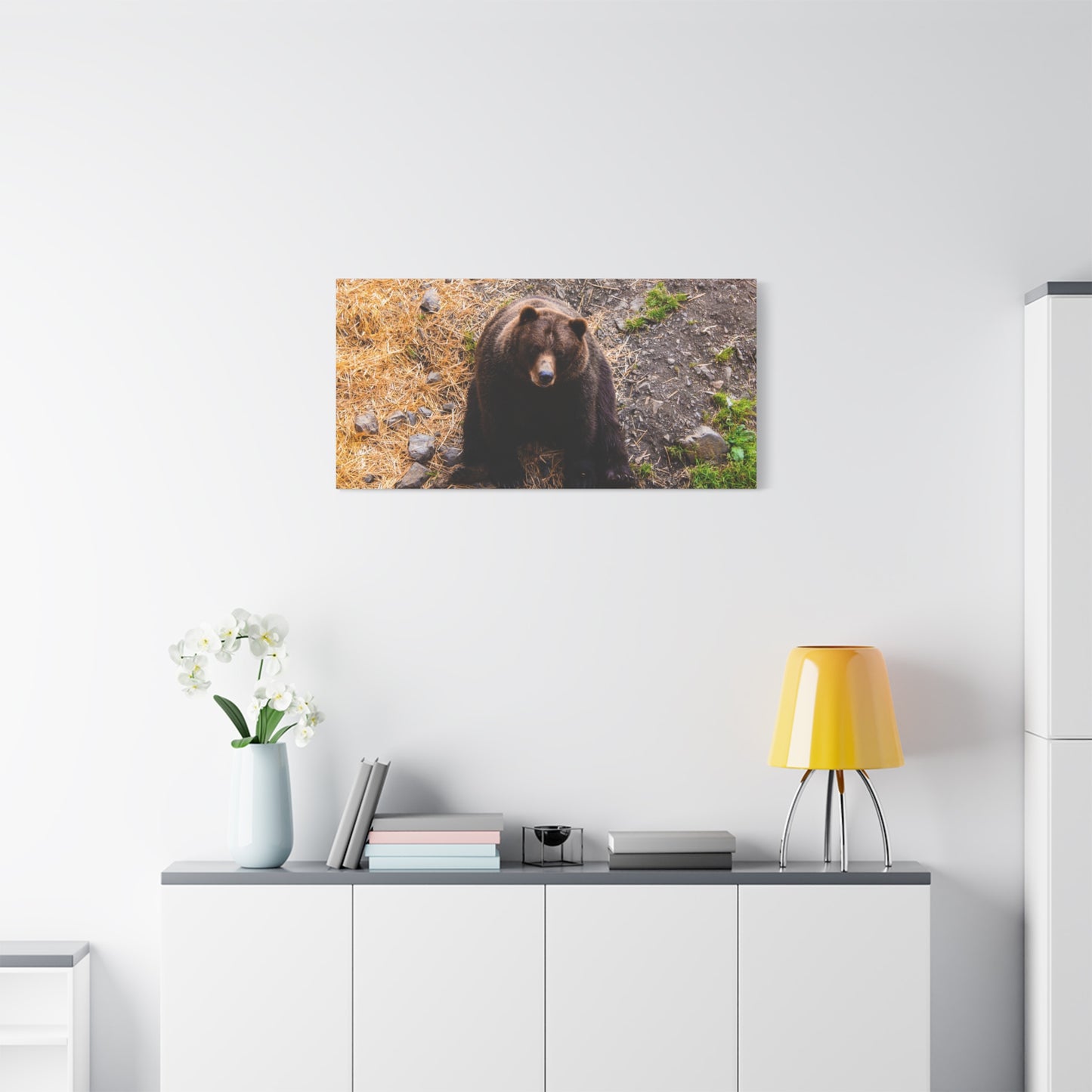 Canvas Print - Staring Bear Photograph