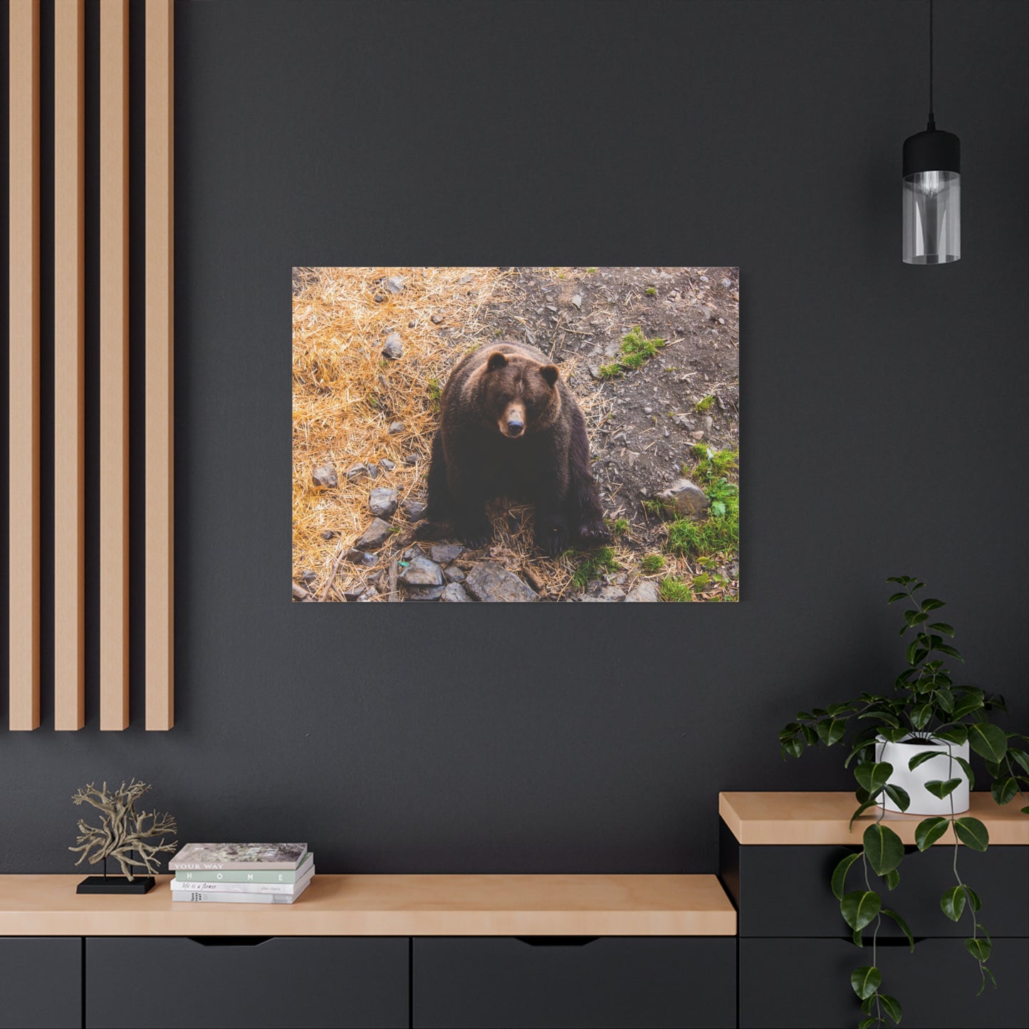Canvas Print - Staring Bear Photograph