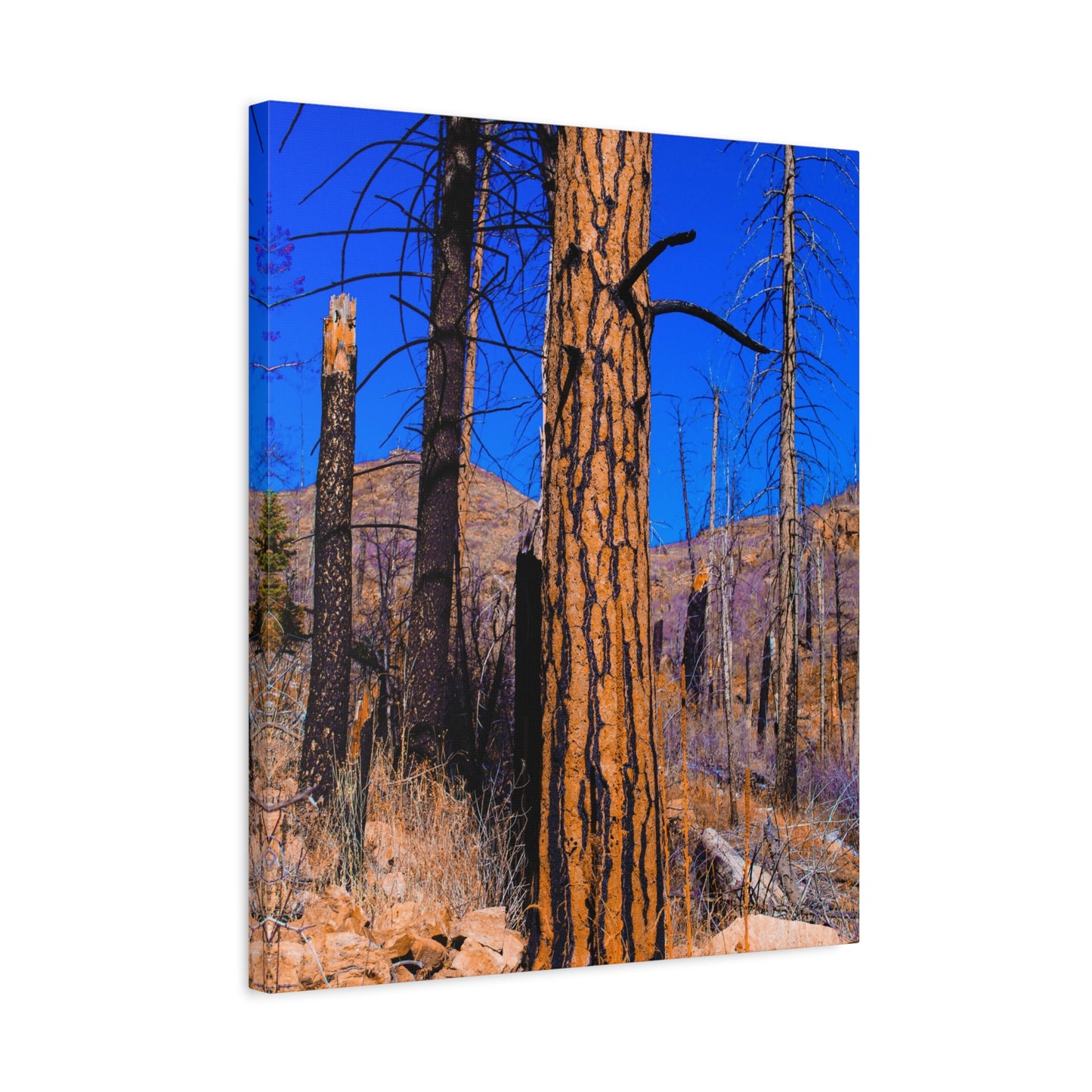 Canvas Print - Thunder Struck Tree Photo