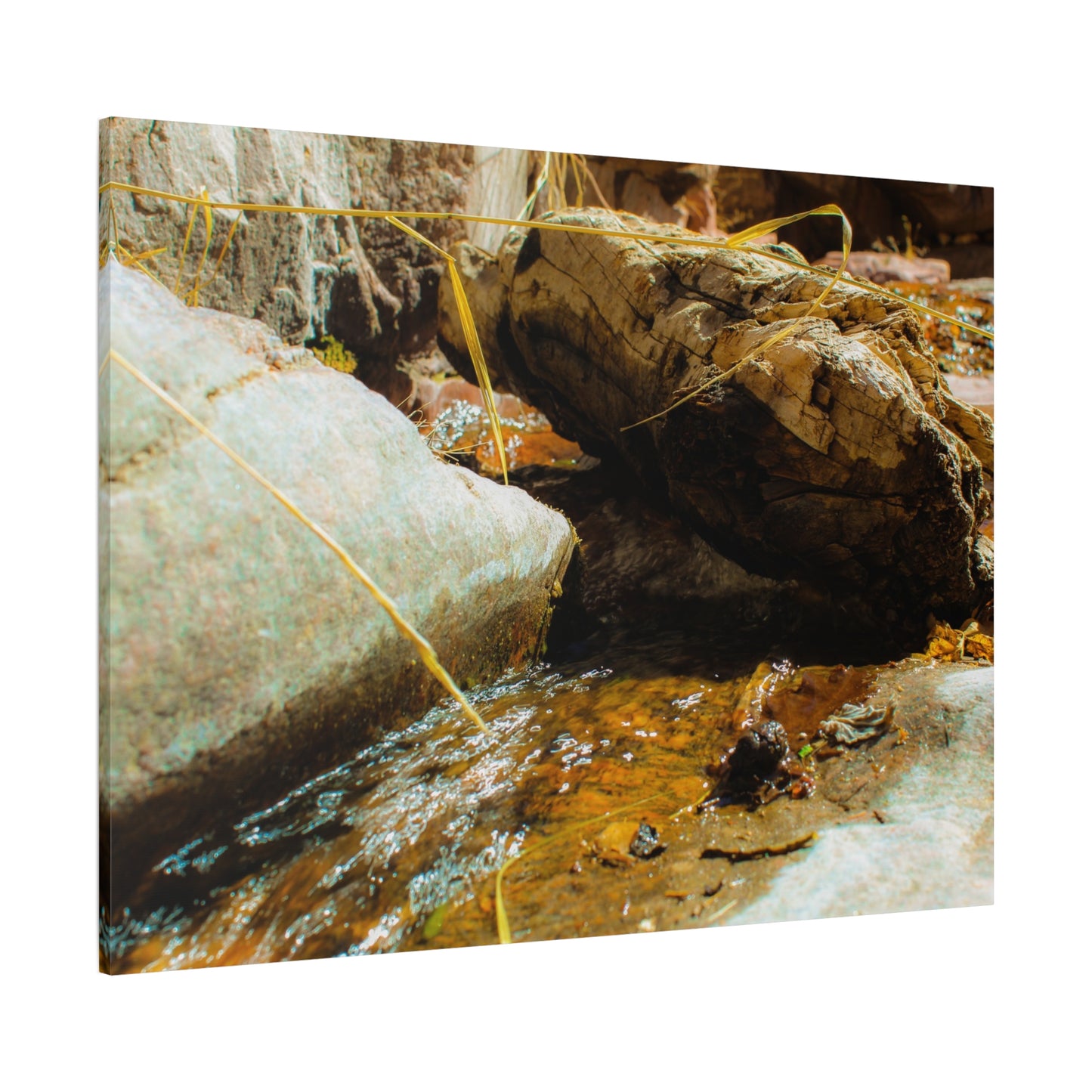 Canvas Print Lazy Log Photography