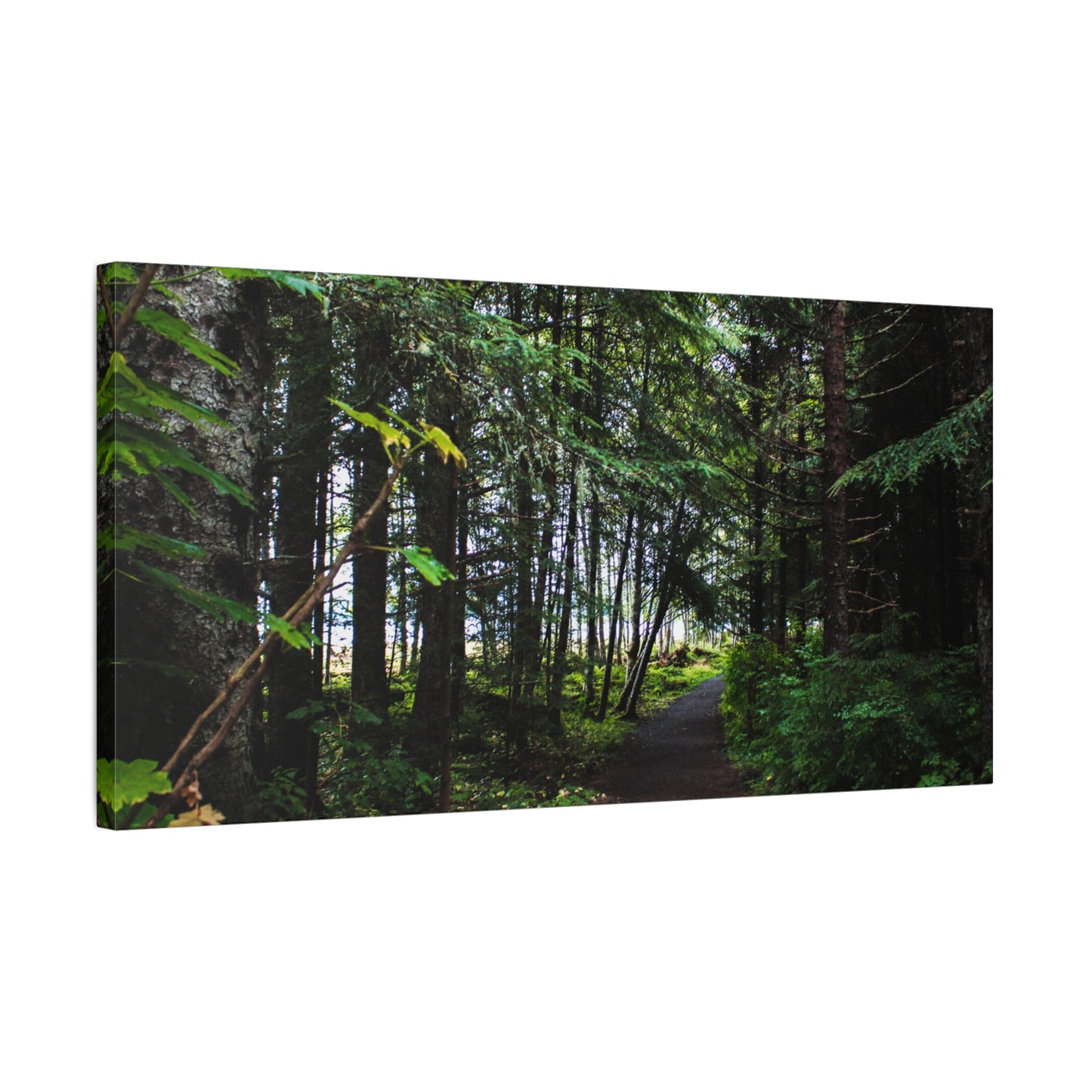 Copy of Canvas Art Print - Trail Through The Trees-Photograph